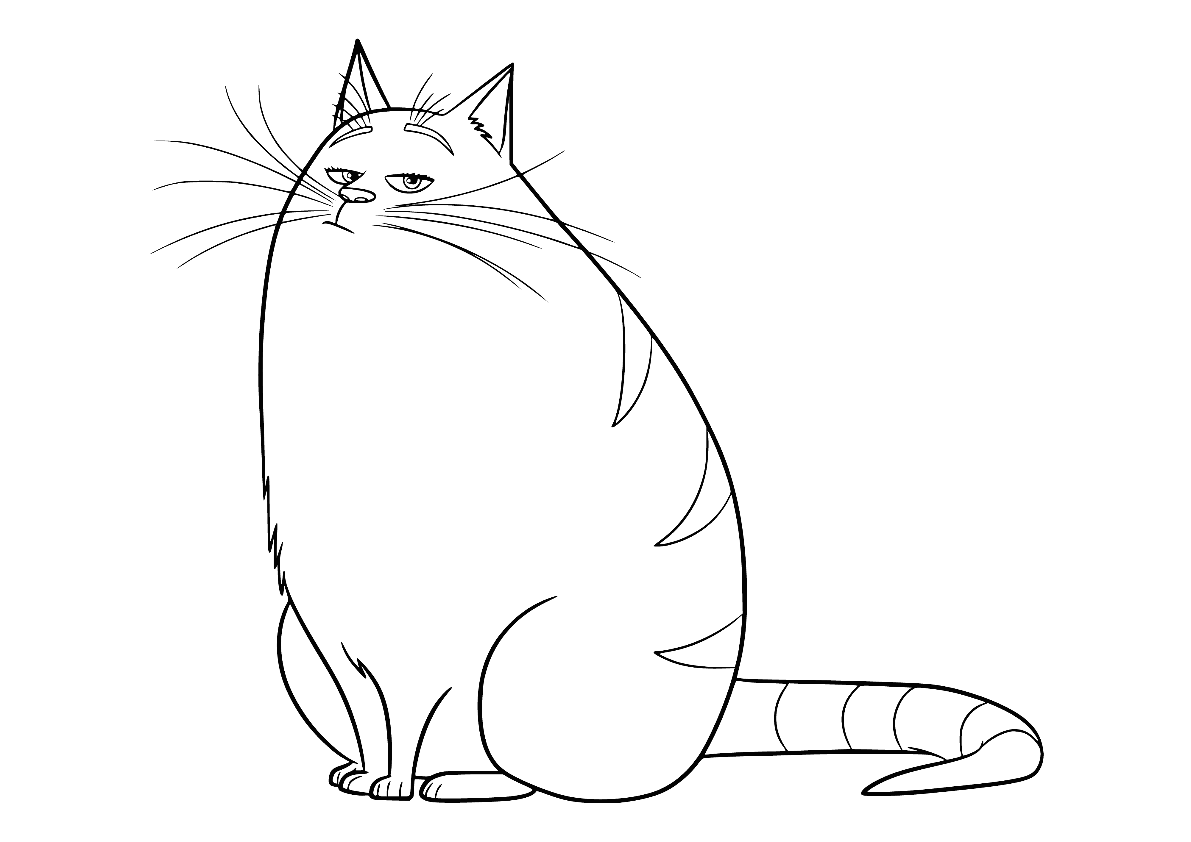coloring page: Chloe the small, gray and white cat sitting in a green chair with her tail curled. She gazes aside from the camera.
