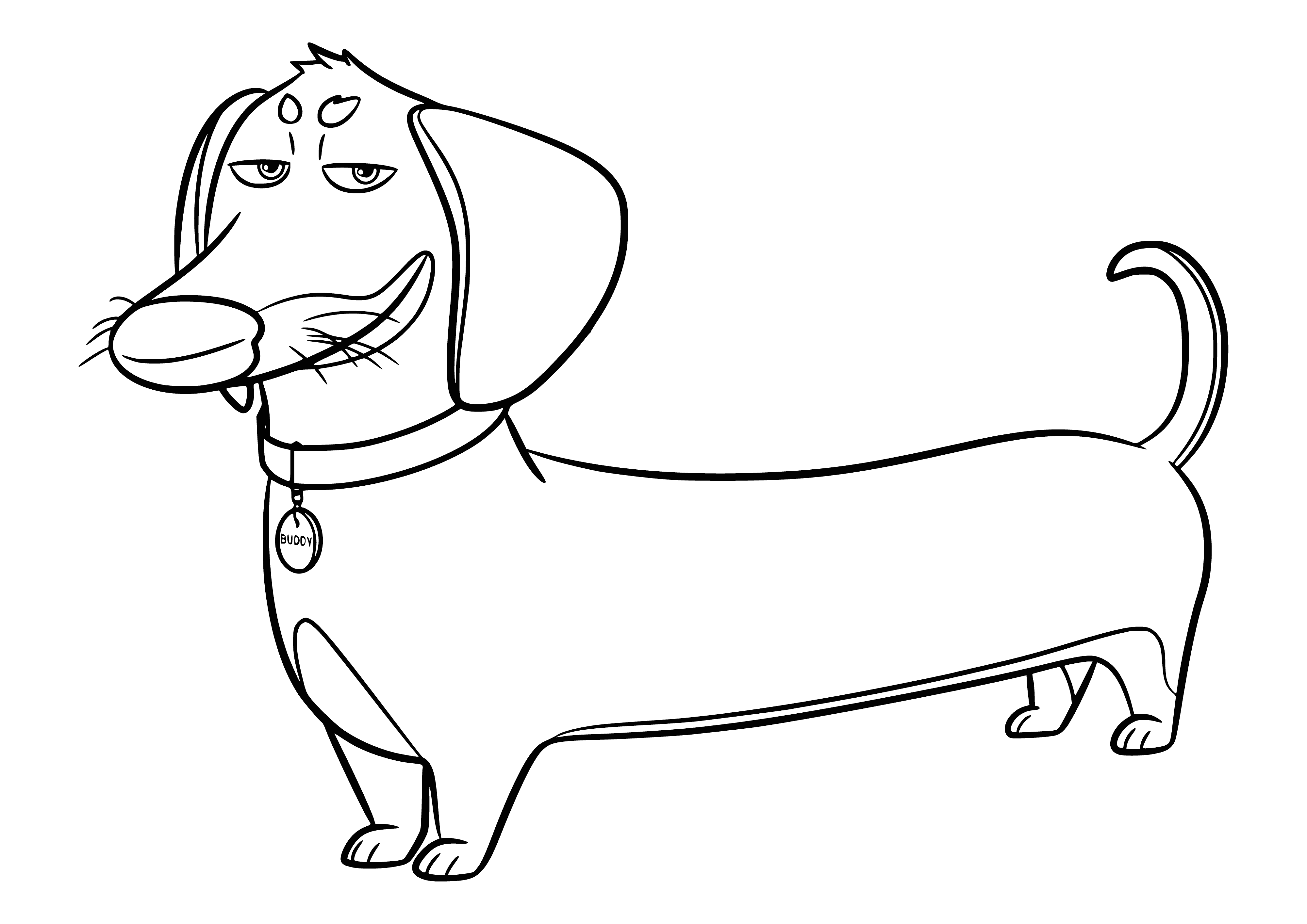 coloring page: Dog with beige & black spots stands on hind legs, arms in air. Behind him is yellow background w/ green leaves. Text says "The Secret Life of Pets - Buddy fee".