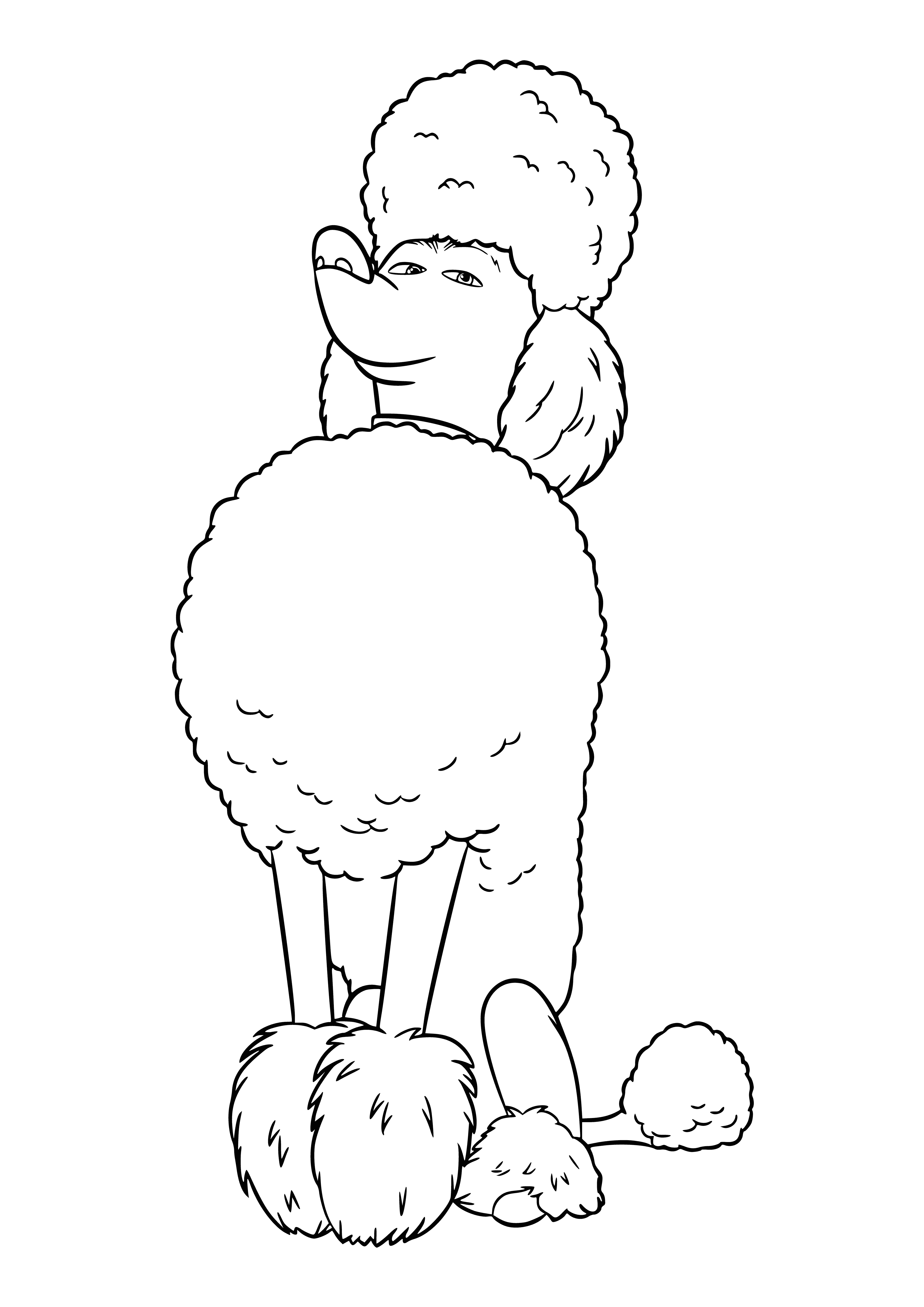 coloring page: Leonard the poodle is up to something sneaky, hiding something from his owner. He has a guilty look and is definitely up to no good!