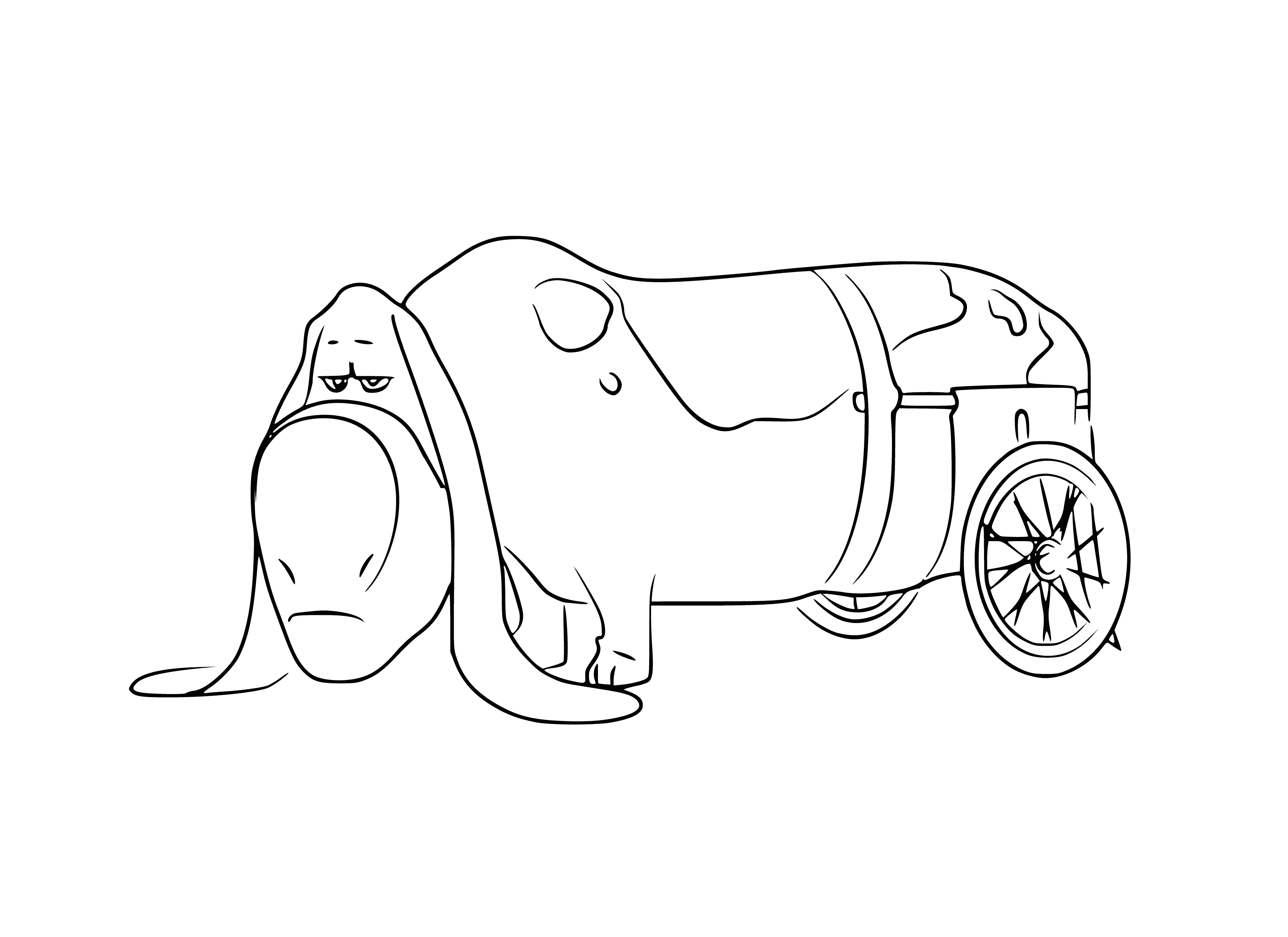 coloring page: Basset Hound happily licks ice cream cone; white ice cream and pink tongue, black collar w/ silver tag and floppy ears.