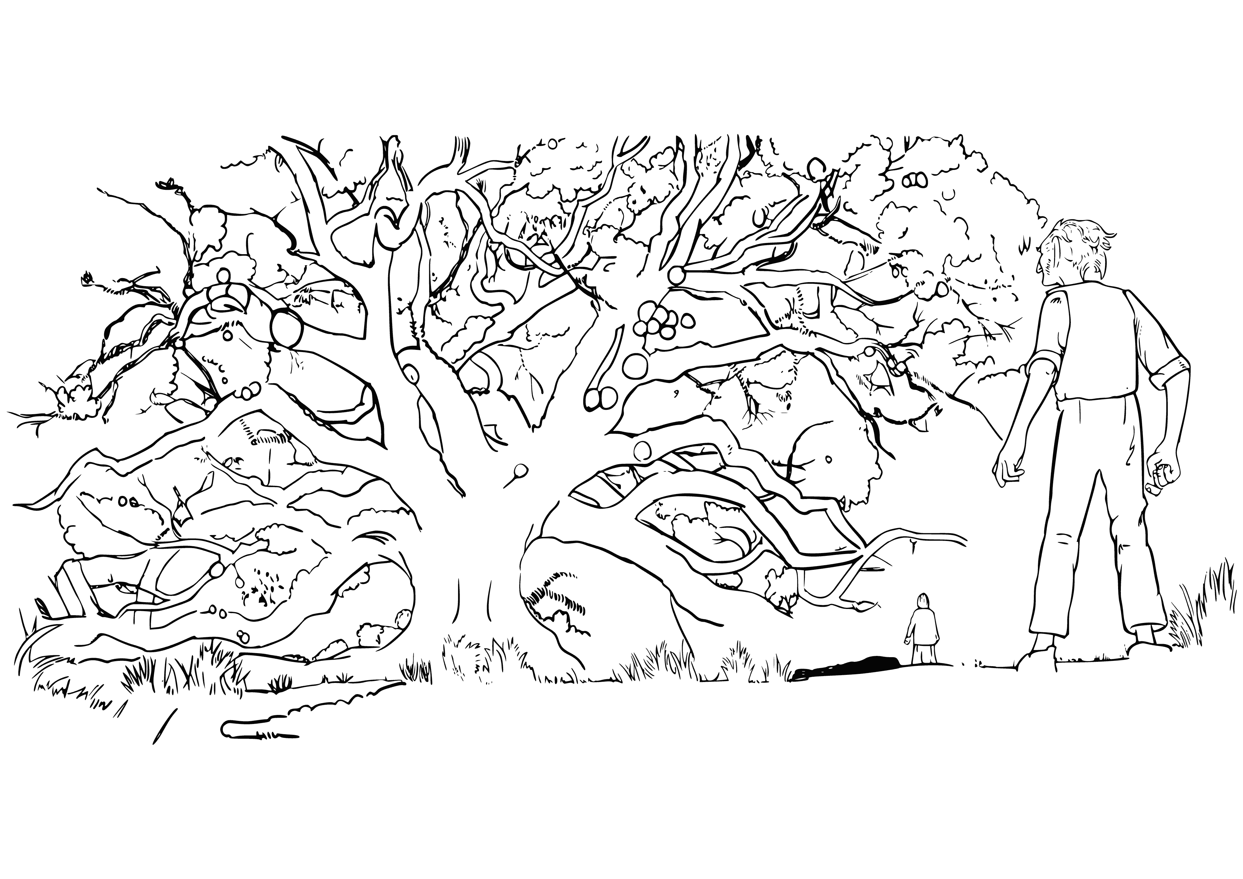 coloring page: A tree w/large pink flower in center & spiral pattern, w/leaves, branches, and 4 pink balls. Five smaller flowers in yellow, pink, & purple.