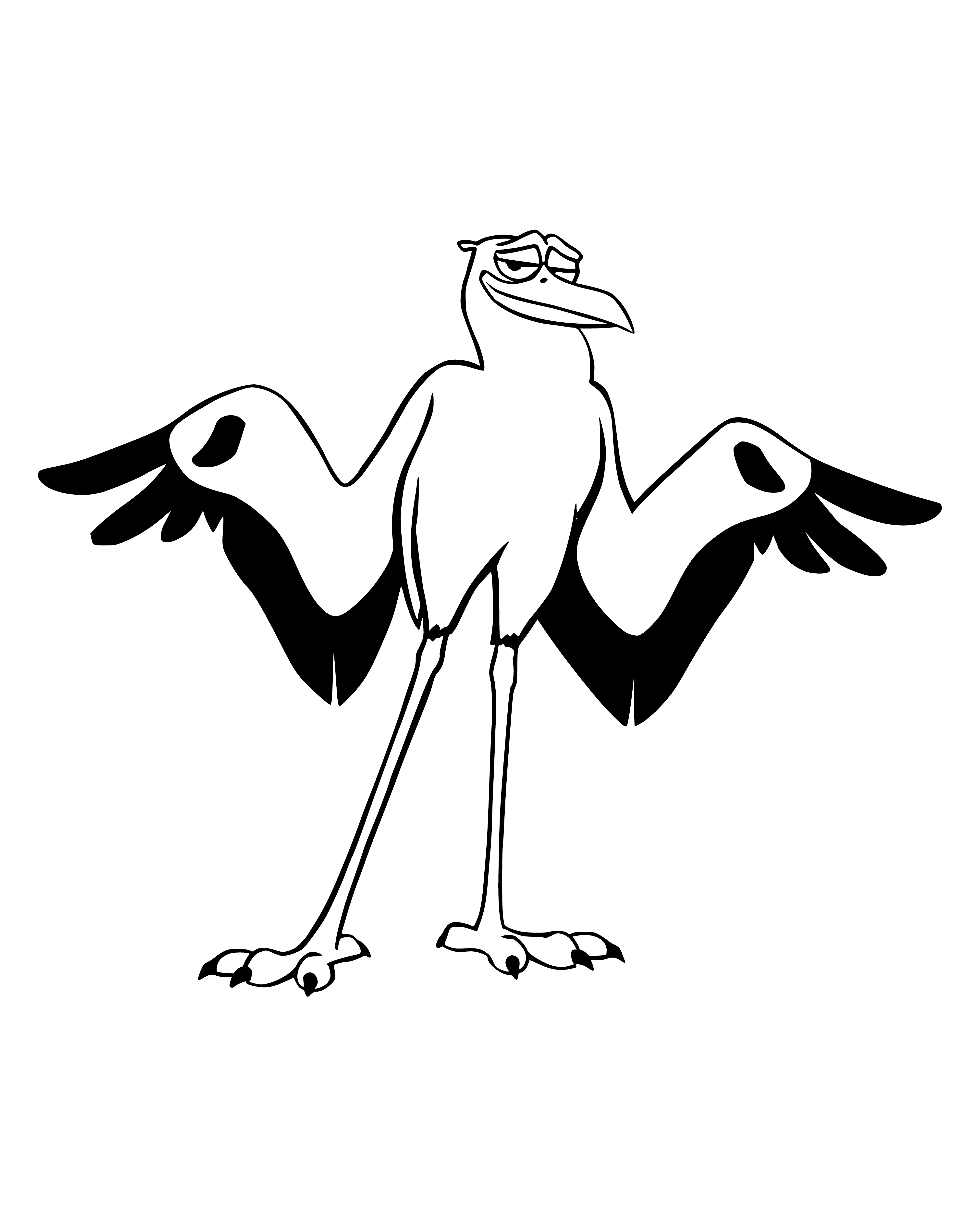 coloring page: Storks: Large white bird w/ long neck & bill, long black&white tail, black head&neck, long black legs.