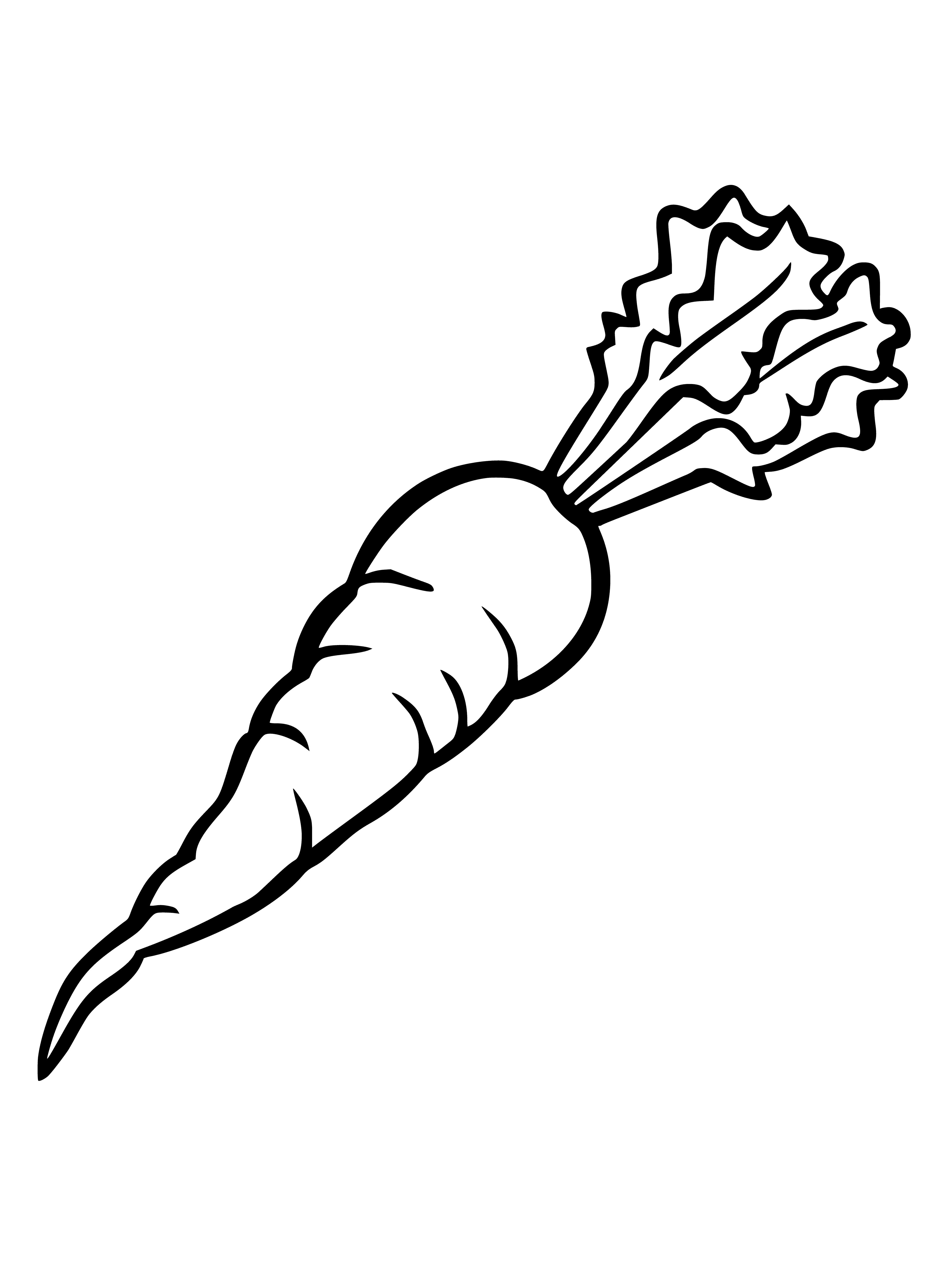 coloring page: Carrot on plate with knife: long orange veg, bumps & ridges.