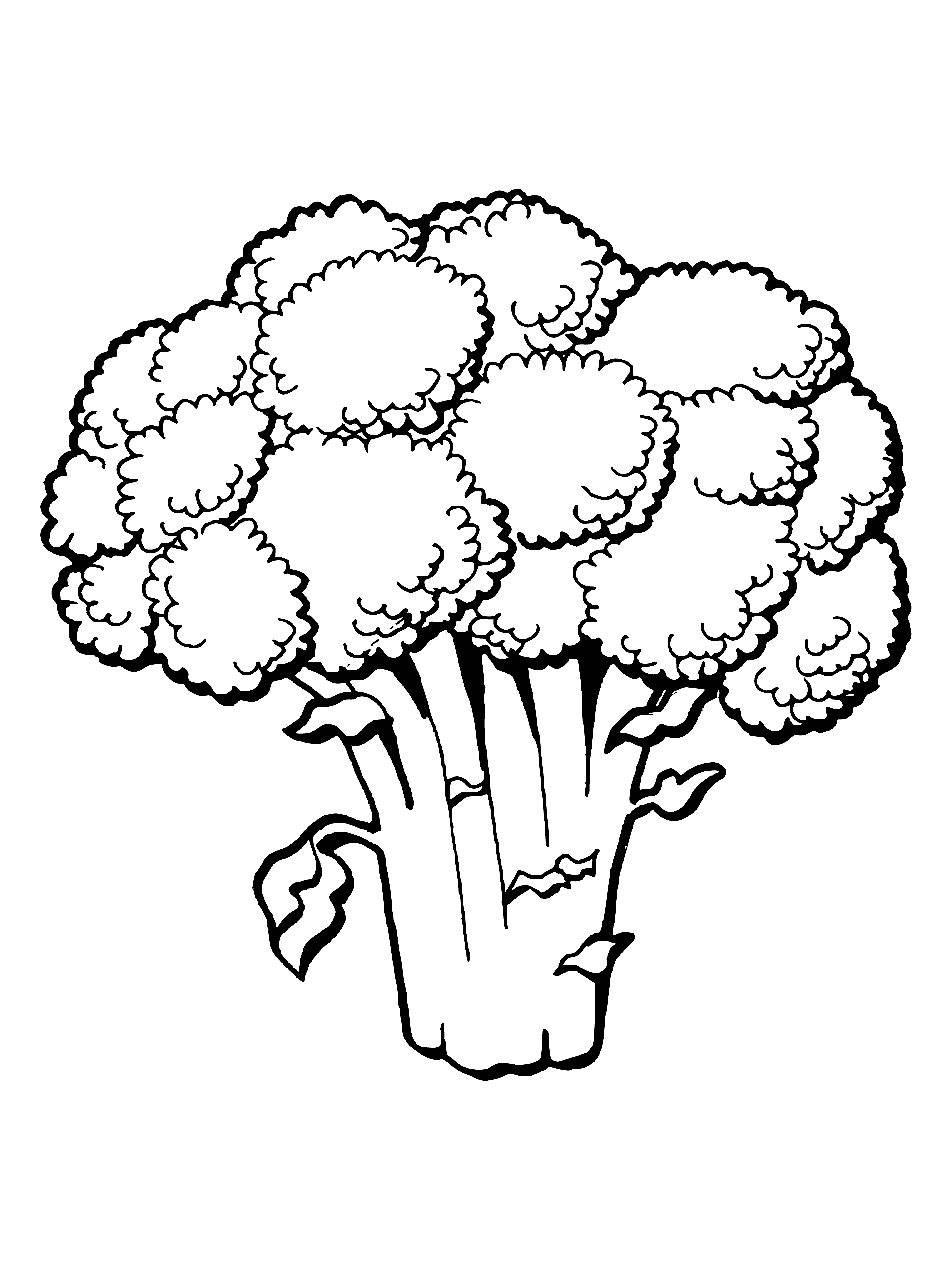 coloring page: Broccoli is a dark green veg with tree-like shape, edible stem & small florets clustered together.