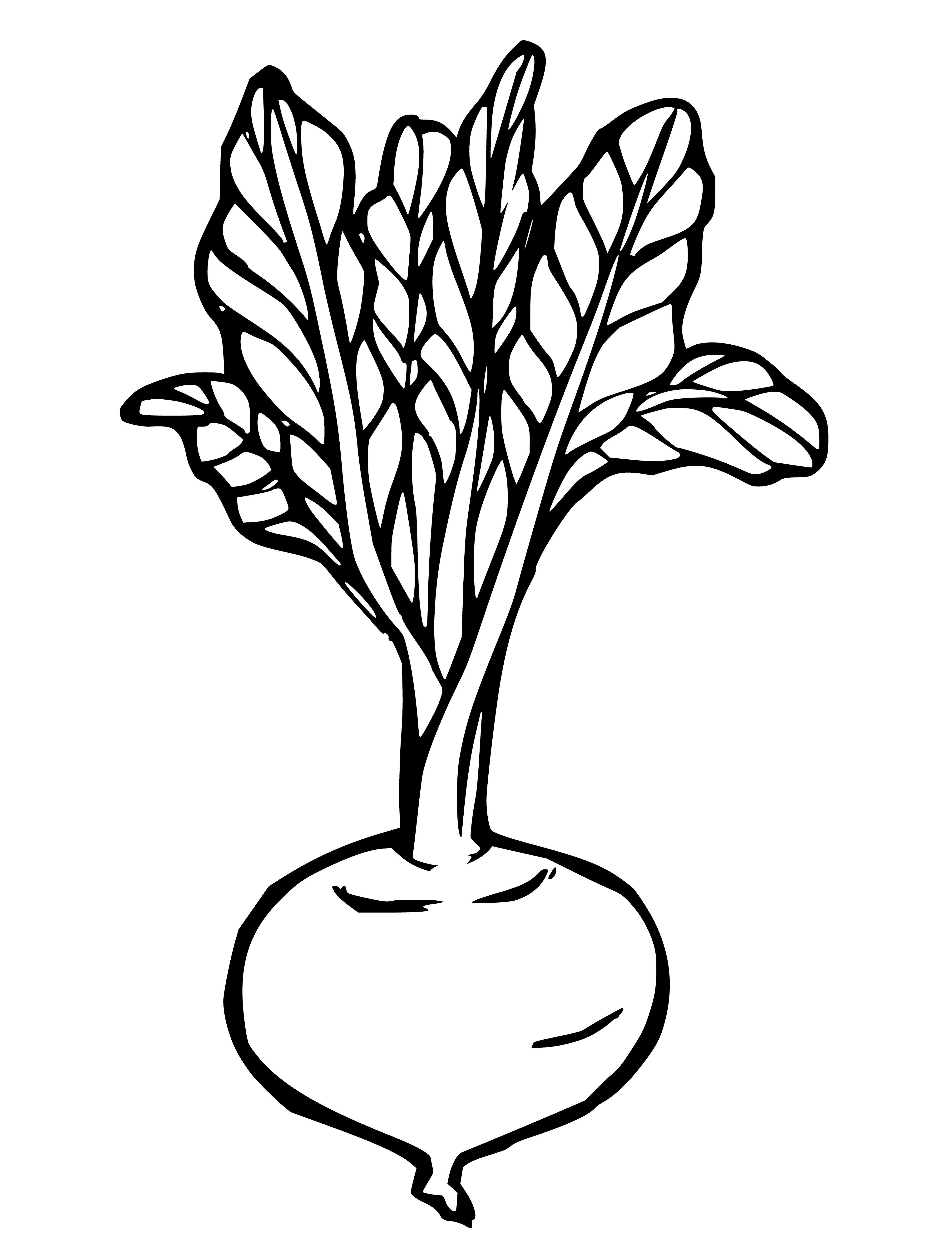 coloring page: Three beets in a bowl: dark red skin, white inner flesh. A coloring page to enjoy. #vegetables #drawing #coloringbook