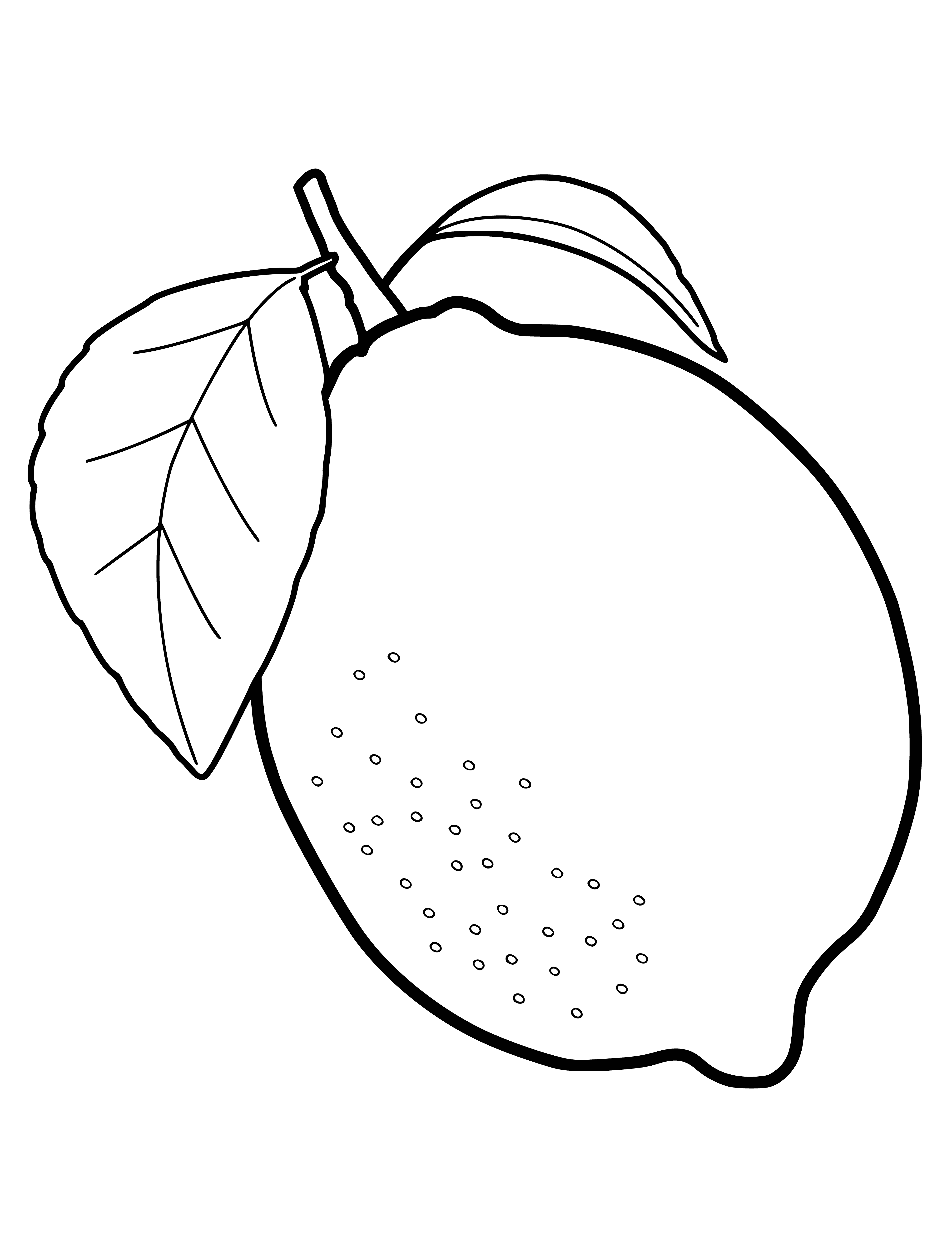 coloring page: A lemon is a yellow citrus fruit w/ sour & acidic taste. Used in cooking & baking; also a good source of vitamin C.