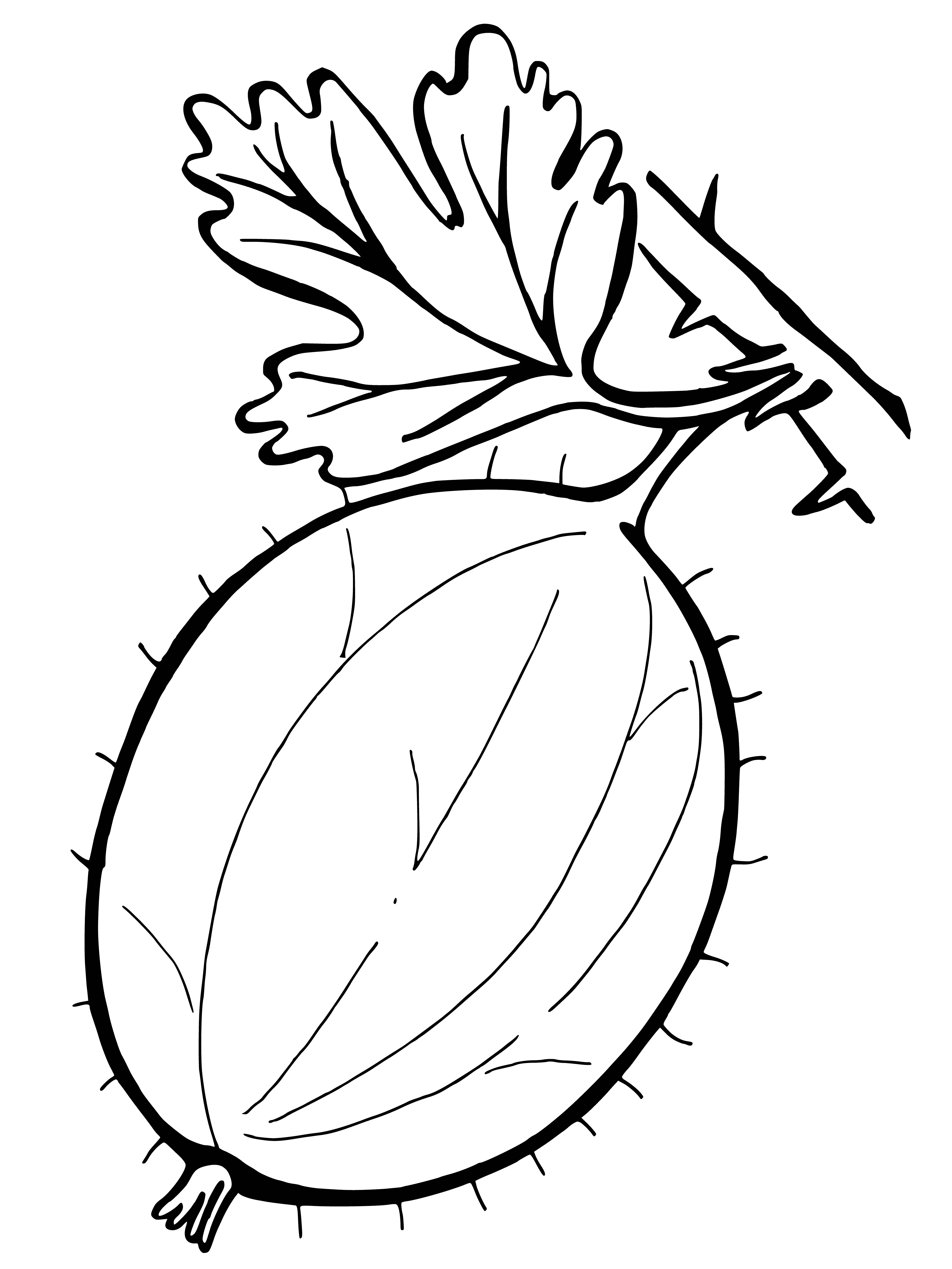 Gooseberry coloring page