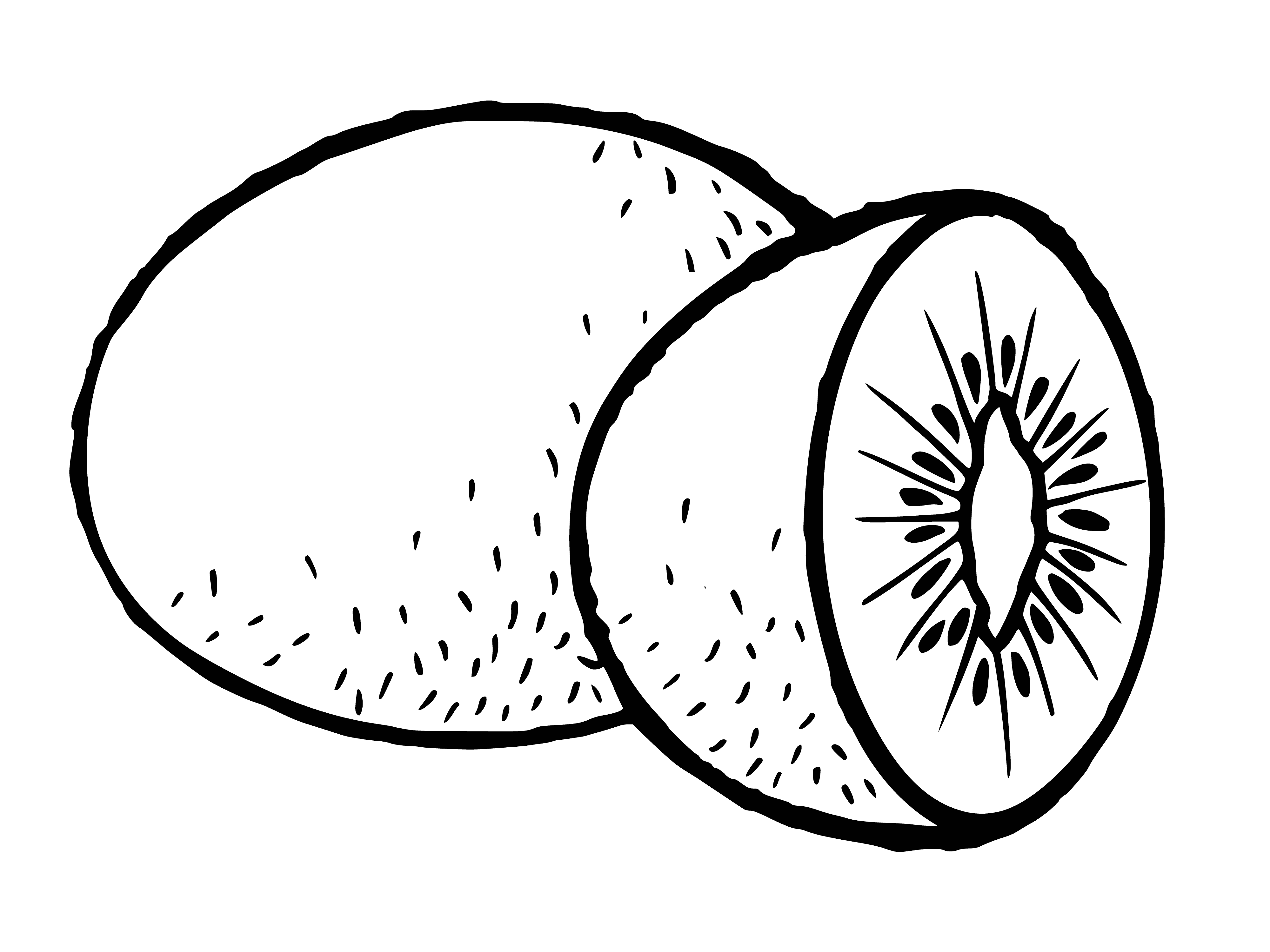 kiwi kolorowanka