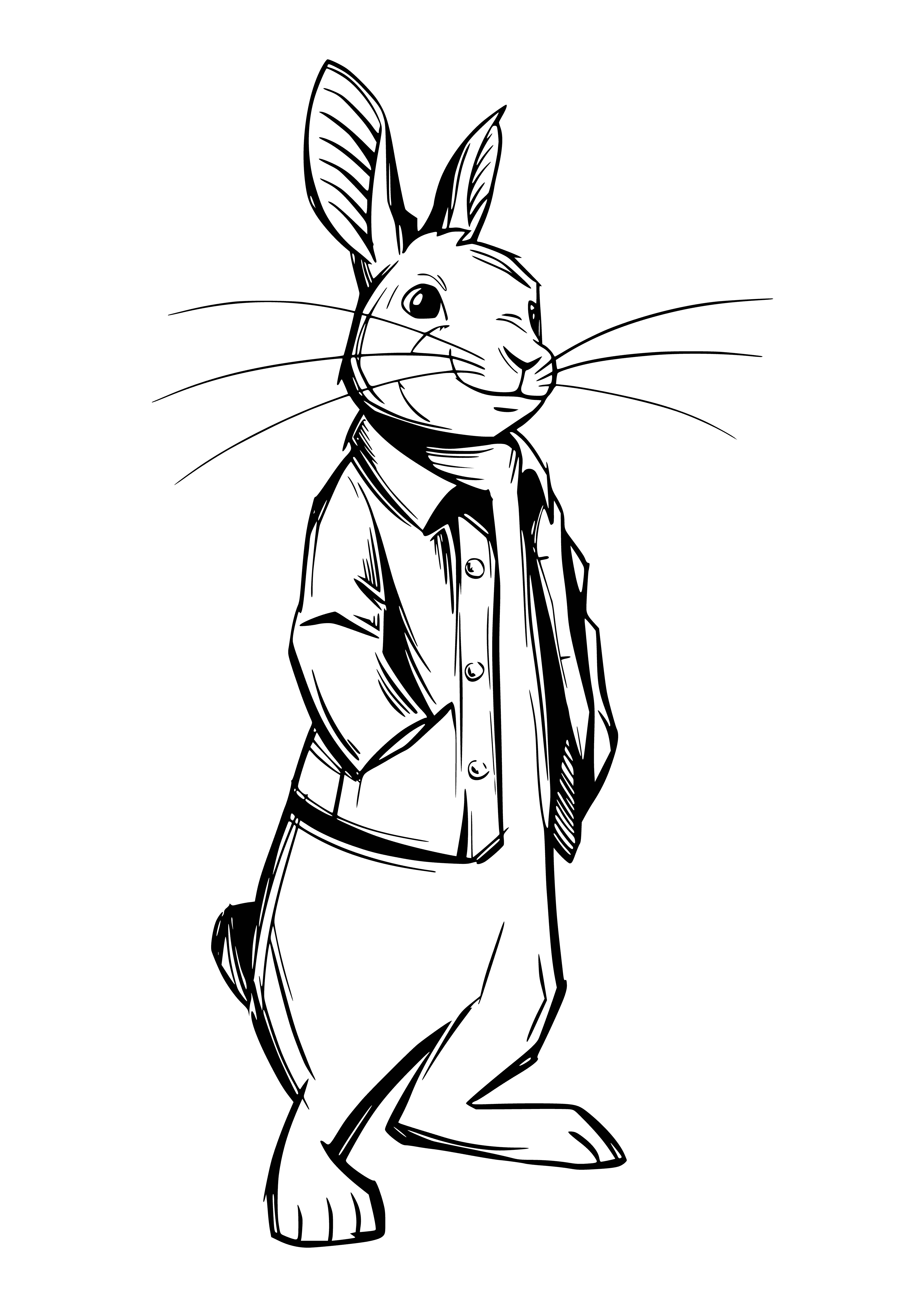 Lapin Pierre coloriage