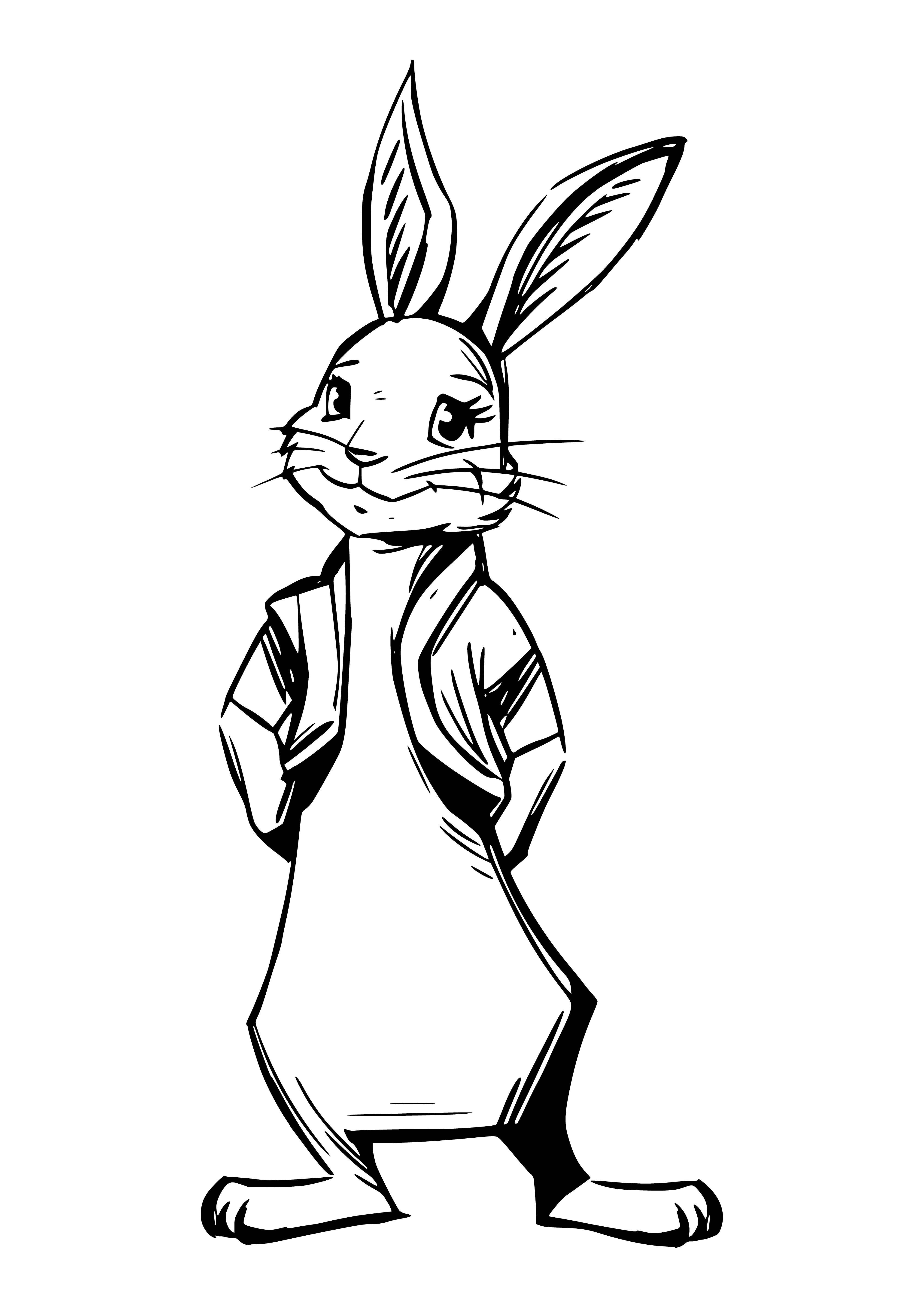 coloring page: Two rabbits sit on the ground; one brown, one white. One looks right, the other looks left… curious.