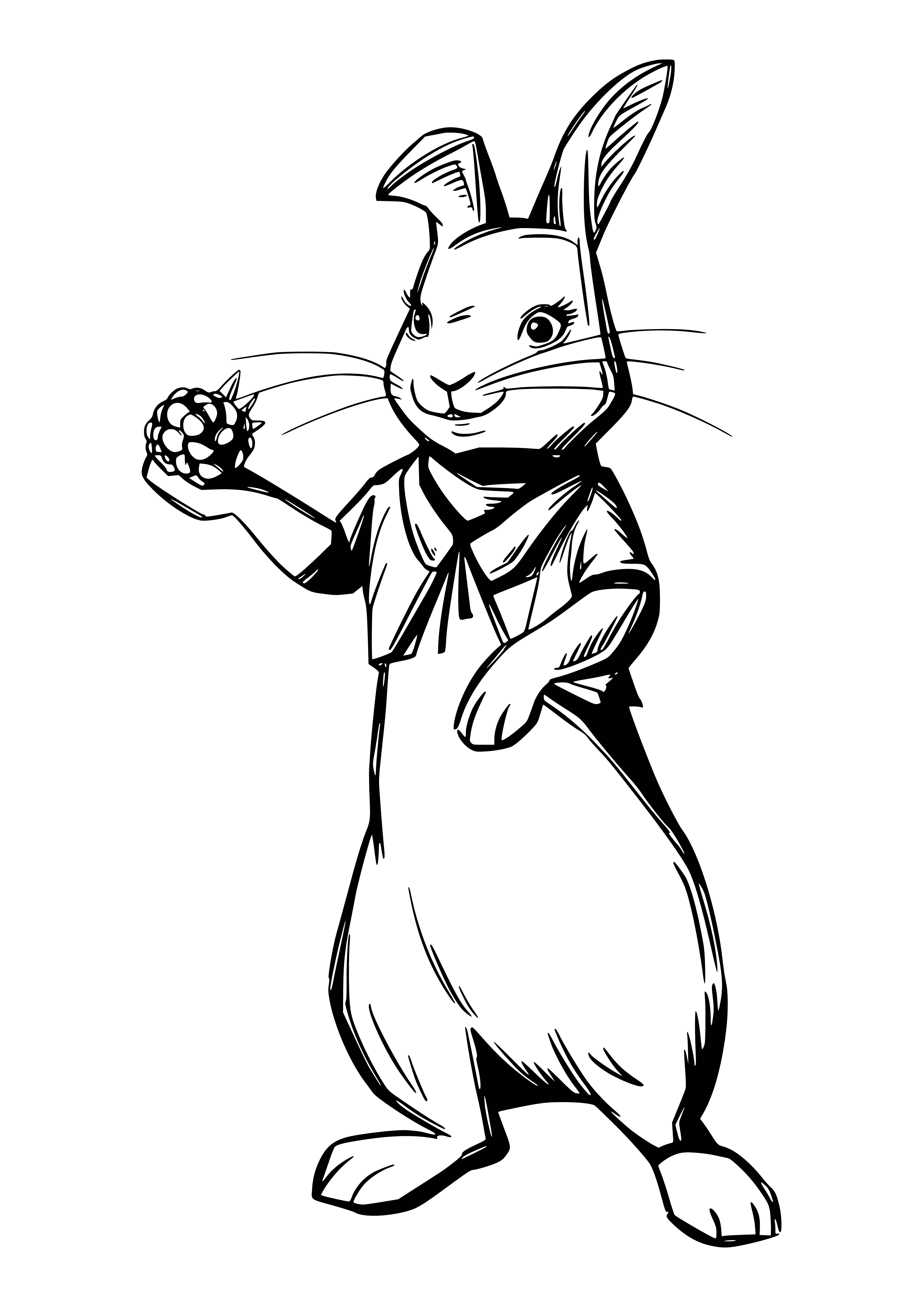 coloring page: A white rabbit with blue eyes wears a blue jacket, waistcoat and bow tie and holds an umbrella.