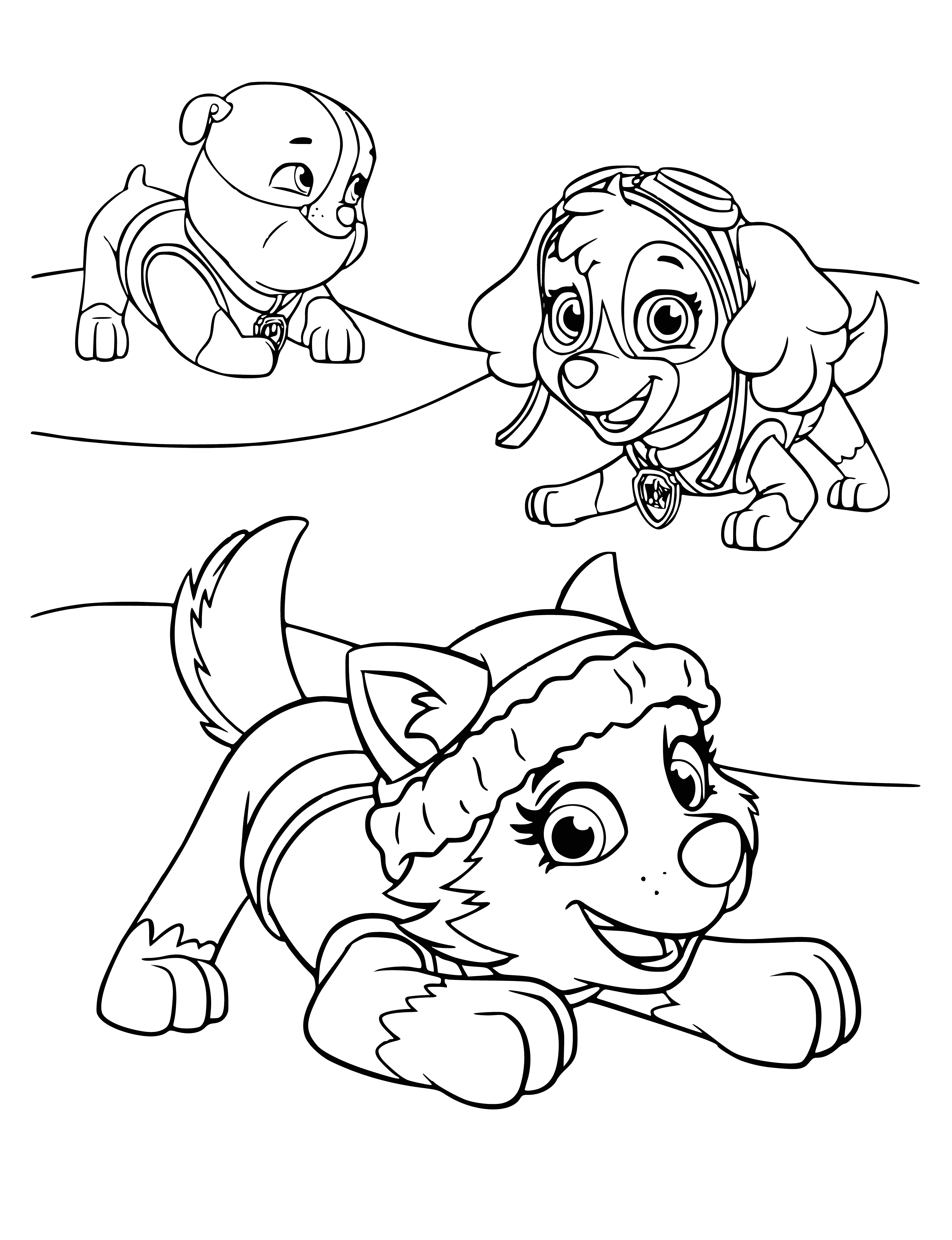 coloring page: 3 dogs of different colors stand on hind legs w/ front paws in the air, each holding diff. items in their mouths: dumbbell, ribbon, & Frisbee.