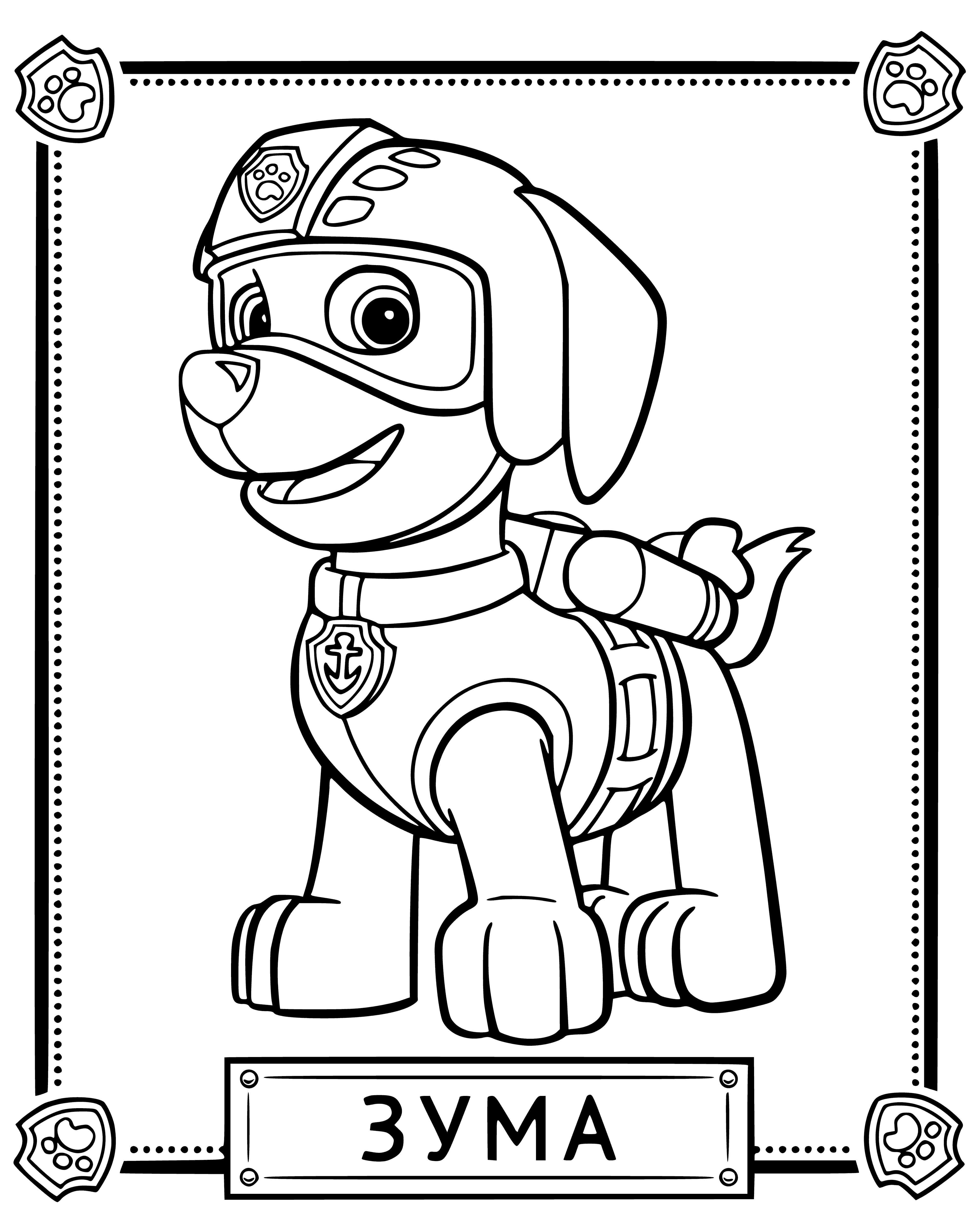 coloring page: The PAW Patrol's water rescue pup Zuma is always ready to dive into action and help on any mission! #PAWPatrol #Zuma