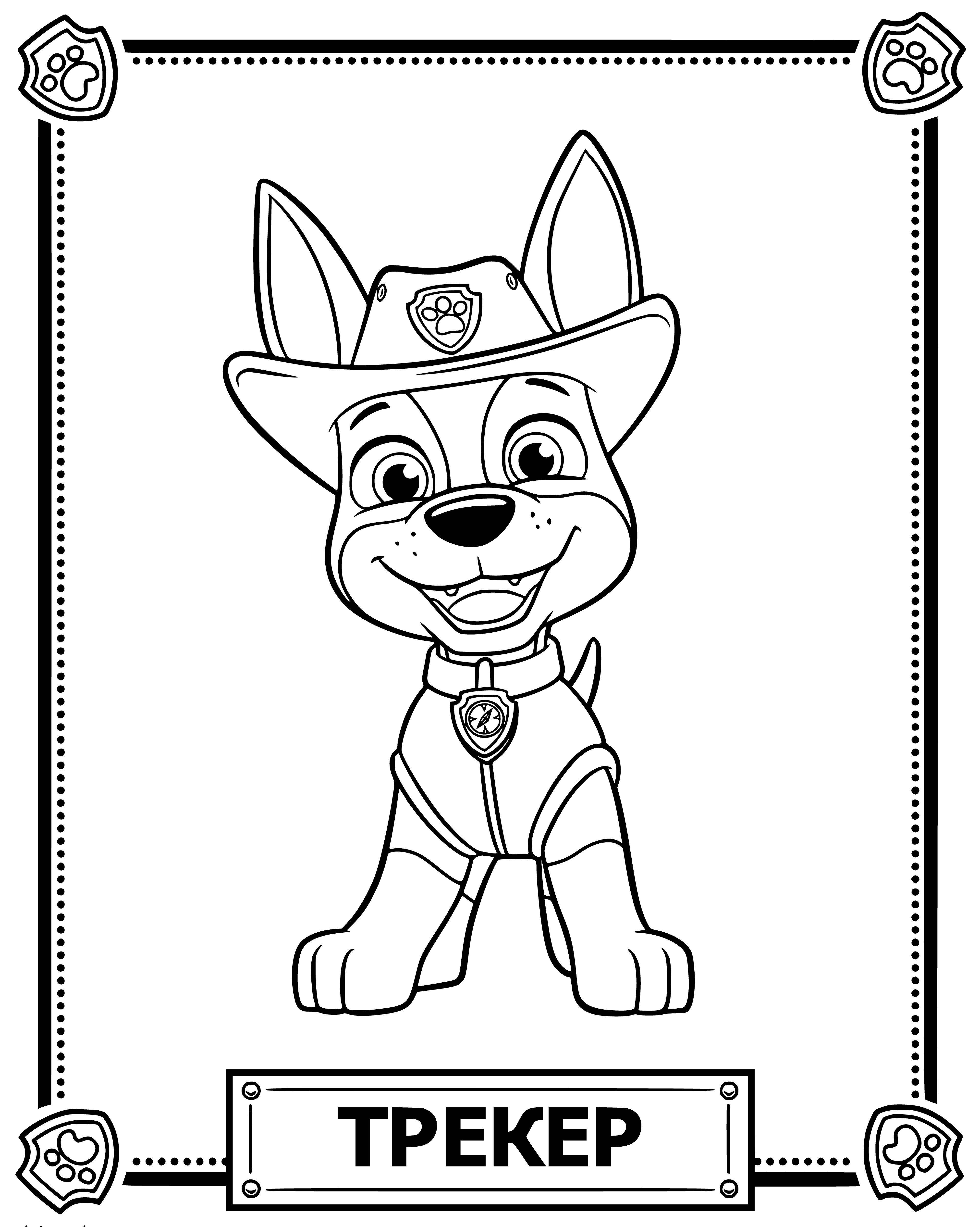 coloring page: Tracker, the brown & white pup, is one of Ryder's team & always finds lost things or solves mysteries in PAW Patrol.