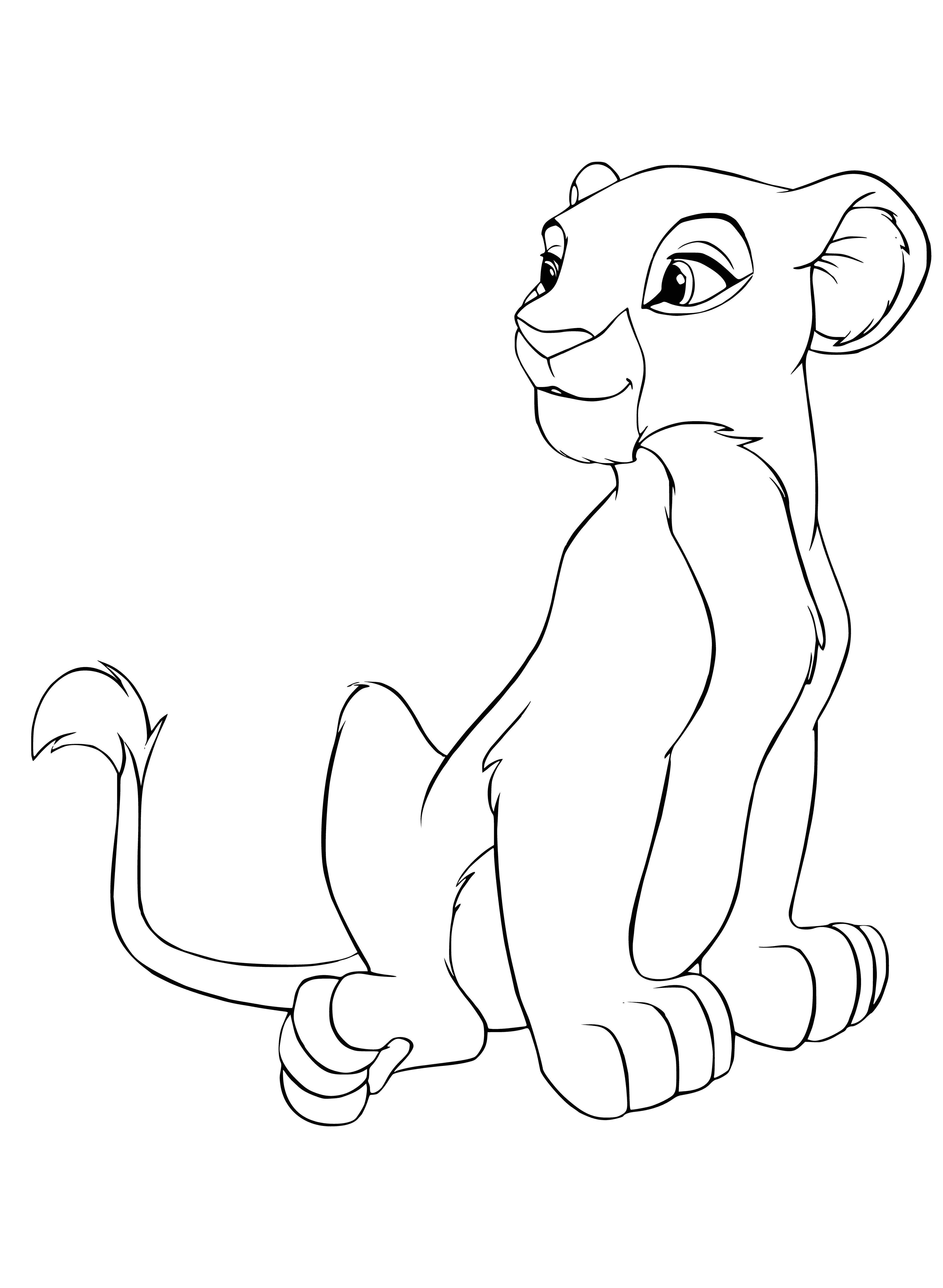 coloring page: Nala is a brave and strong young lioness, best friend and girlfriend to Simba. Playful, curious and friendly, with a beautiful golden coat and big brown eyes.