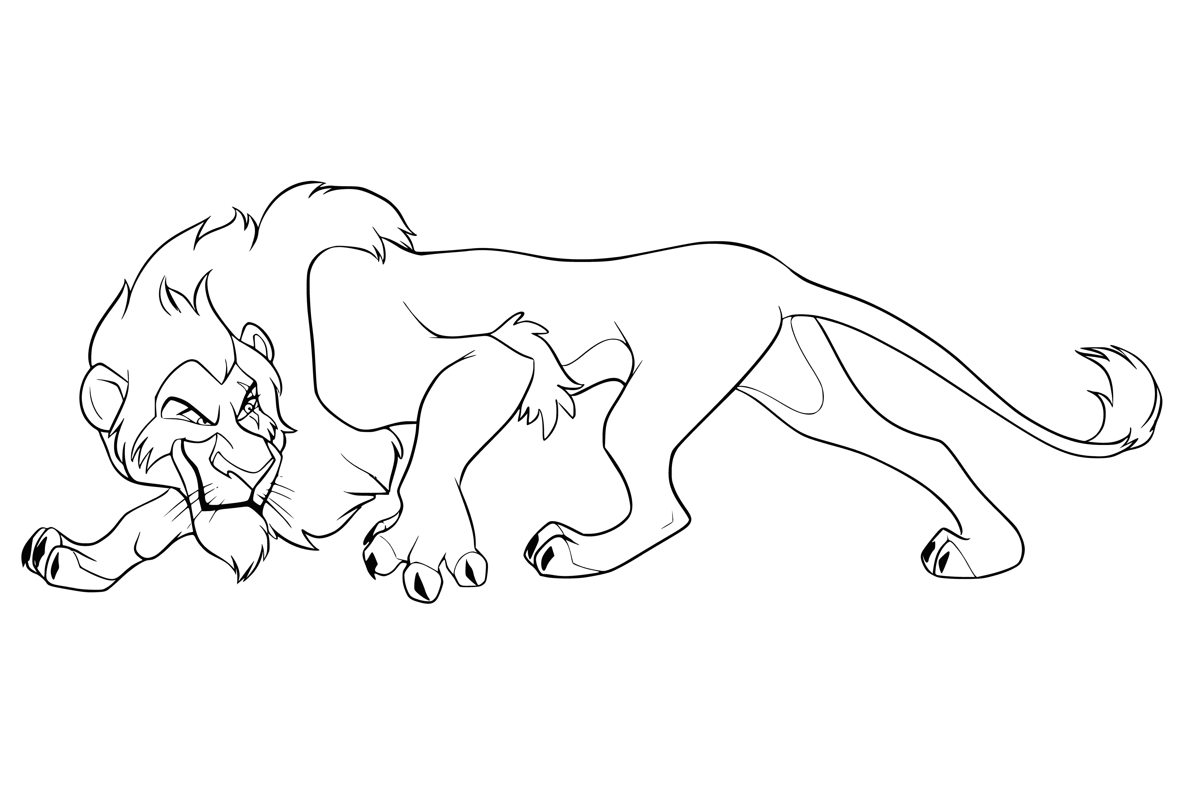 coloring page: Scar is the former king of Pride Rock & jealous uncle of Simba. He's a large lion with a scar on his eye - hence the name.