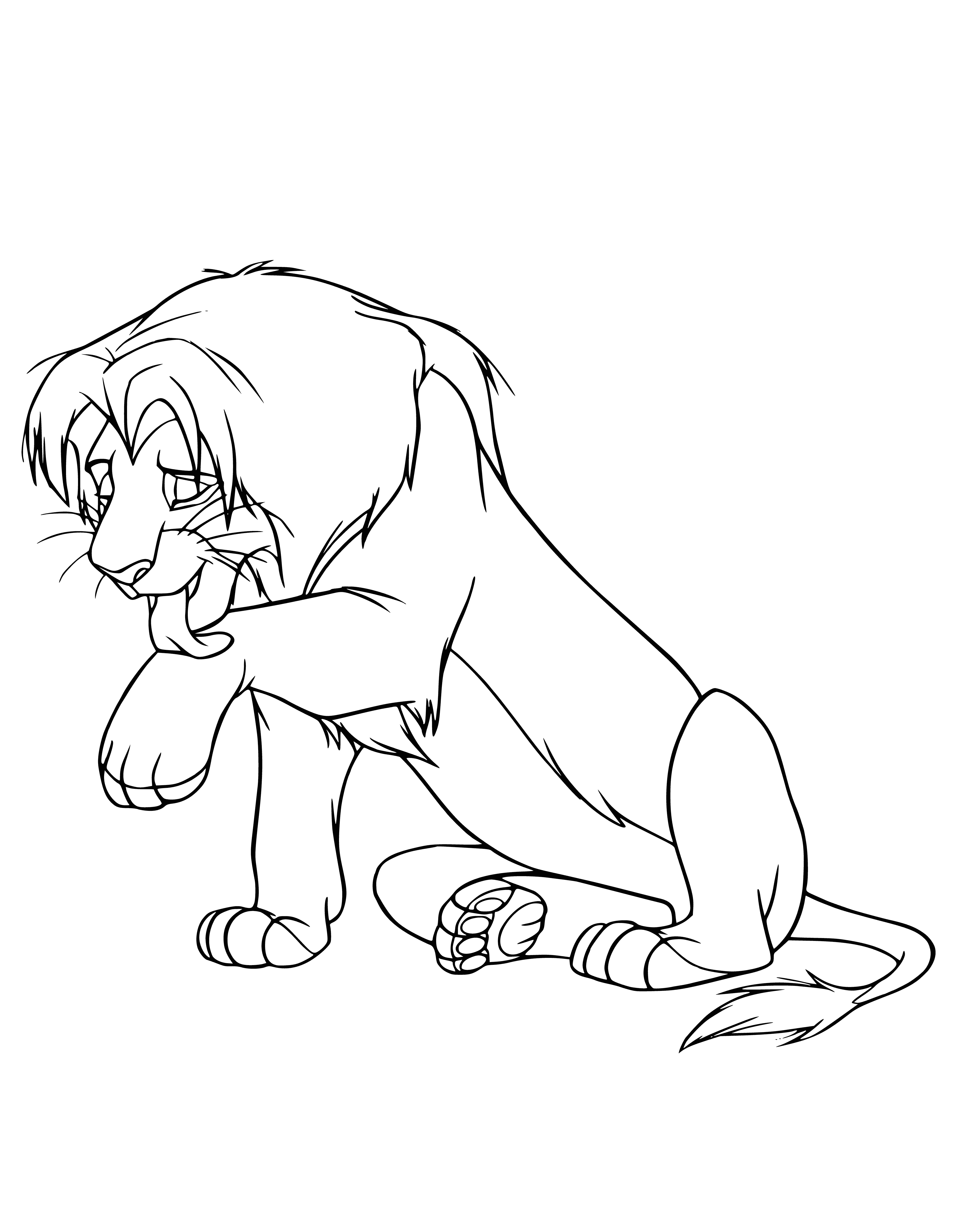 coloring page: The Lion King is licking his paw in this cozy coloring page. Closed eyes & relaxed expression show he's content.