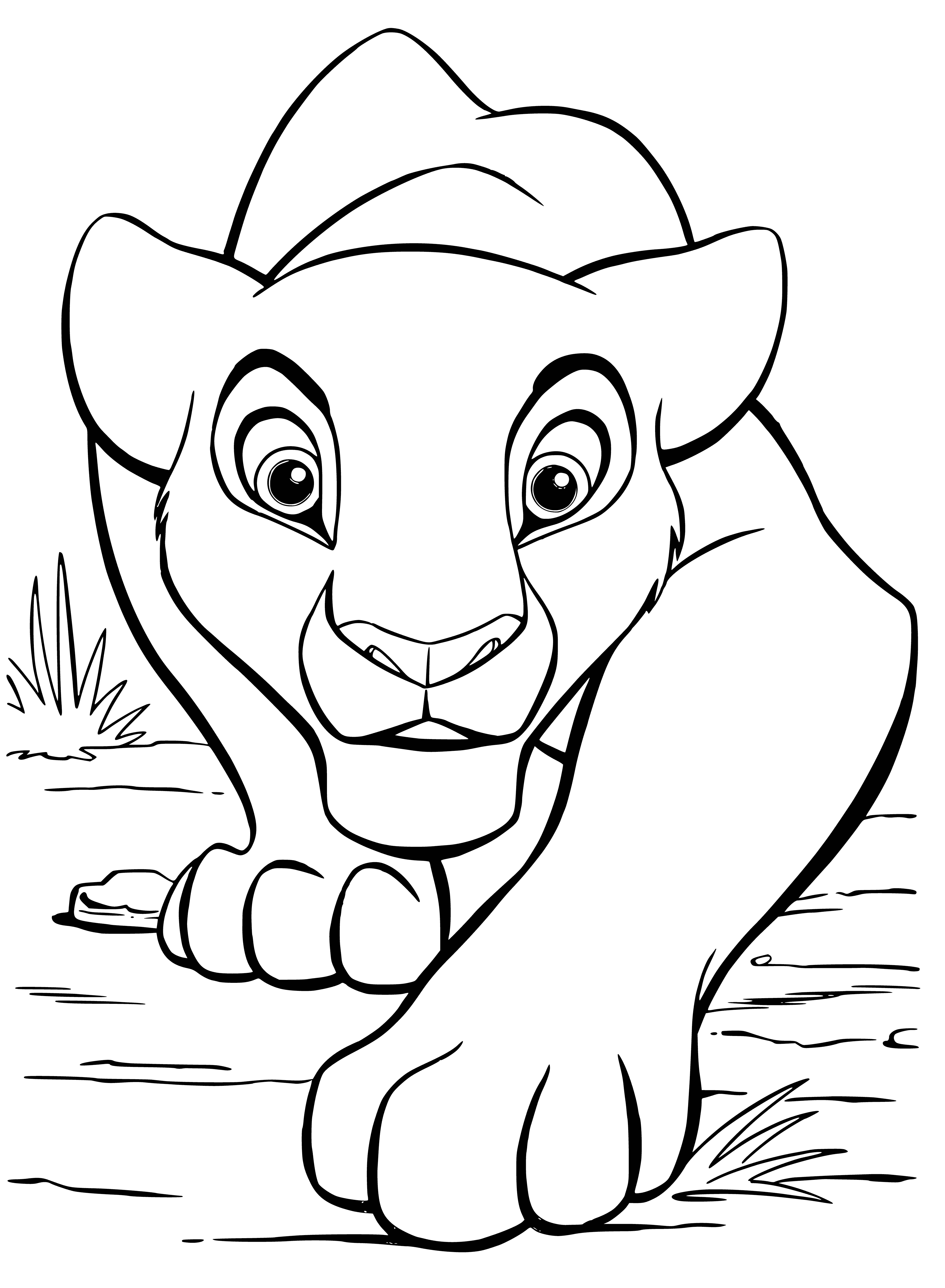 coloring page: A lioness stalks her prey, ready to pounce at a moment's notice: muscular body coiled and gaze fixed.