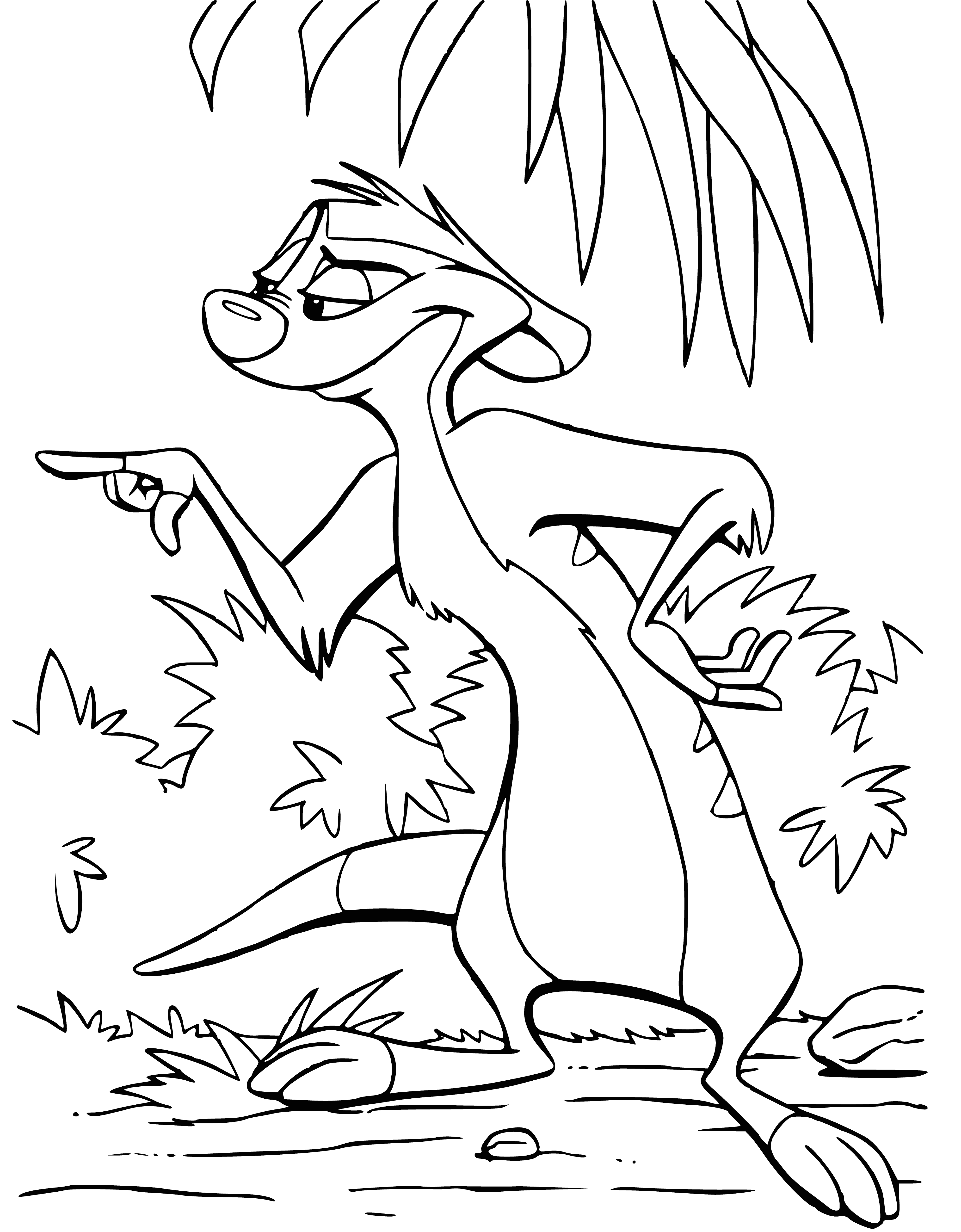 Timon coloring page