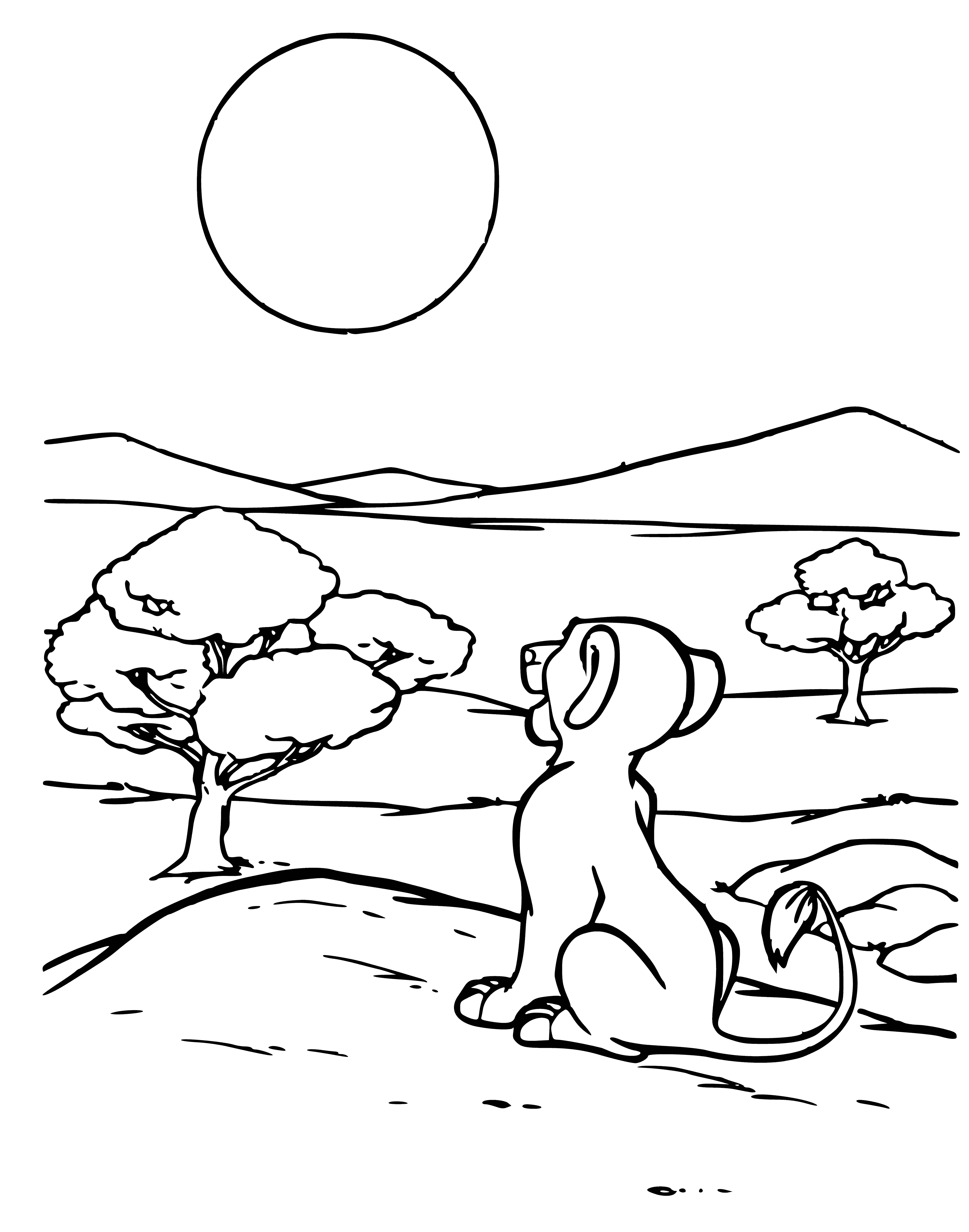 coloring page: Lion stands on cliff overlooking Savannah with orange mane, sun setting and tree and waterfall either side.