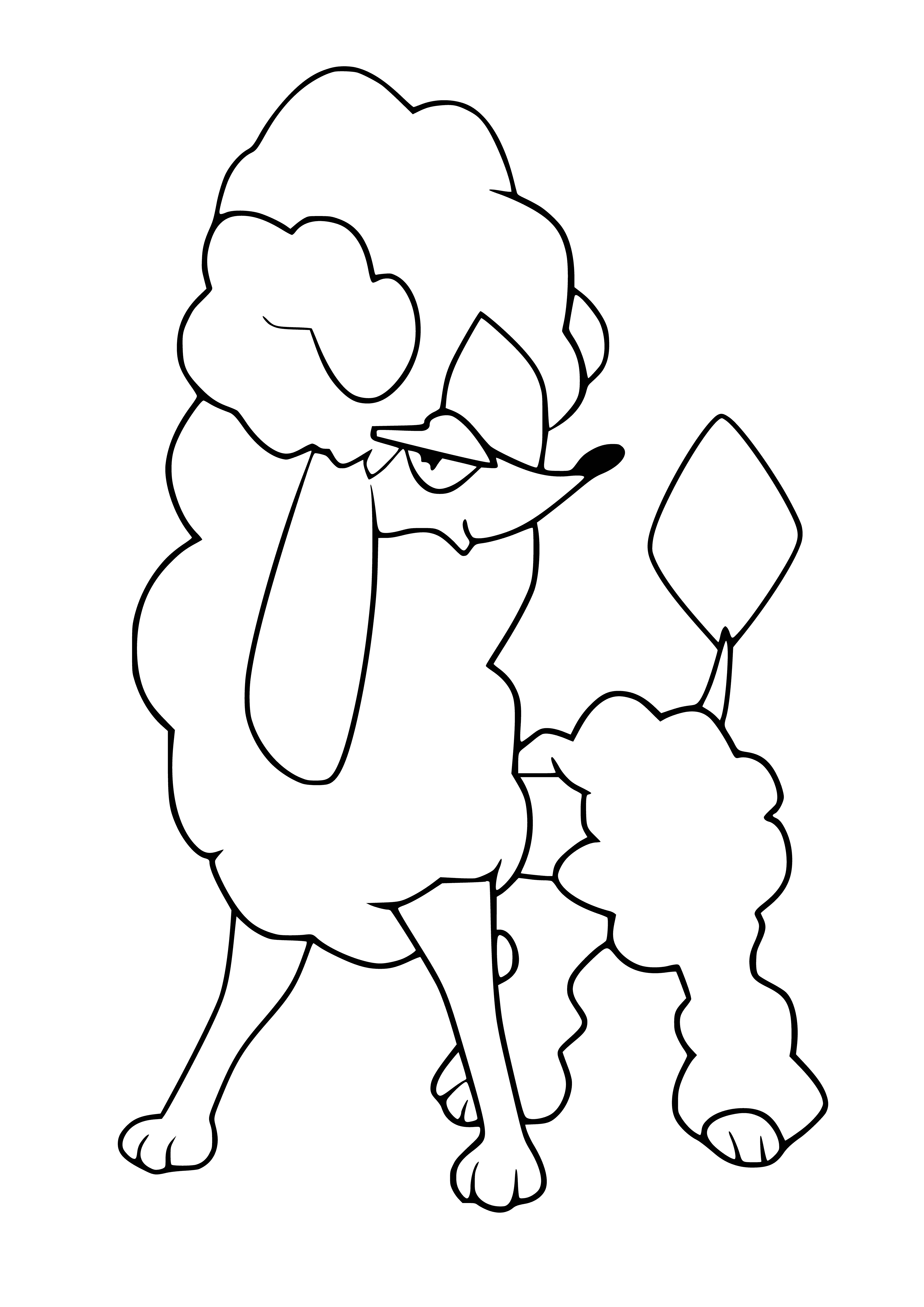 coloring page: Furfrou is a Pokémon w/ thick, brown fur, a fluffy tail, pointy ears and a bushy beard.