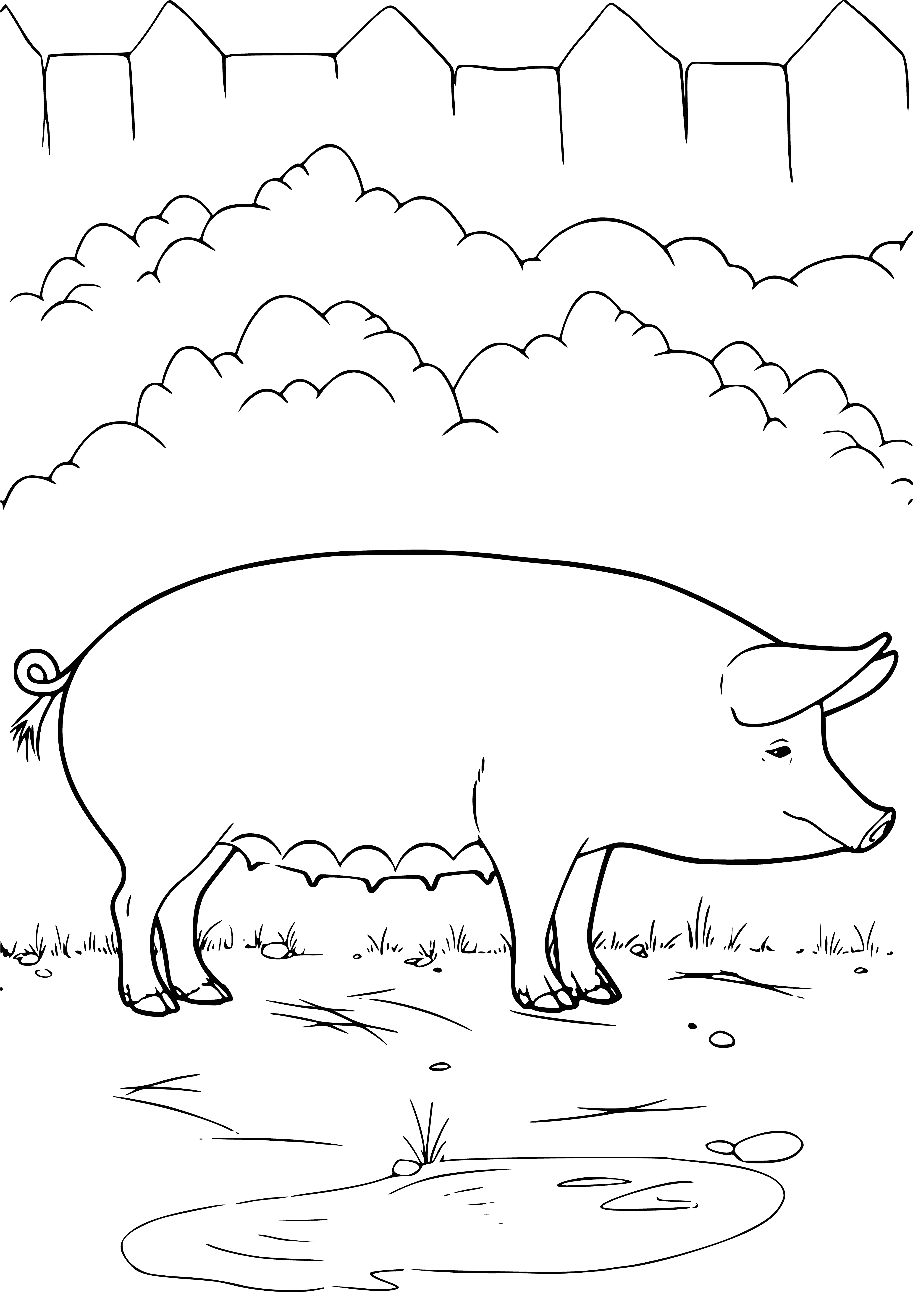 coloring page: Domesticated pigs are intelligent omnivores kept for their meat and skin; often kept as pets and trained to do tricks.