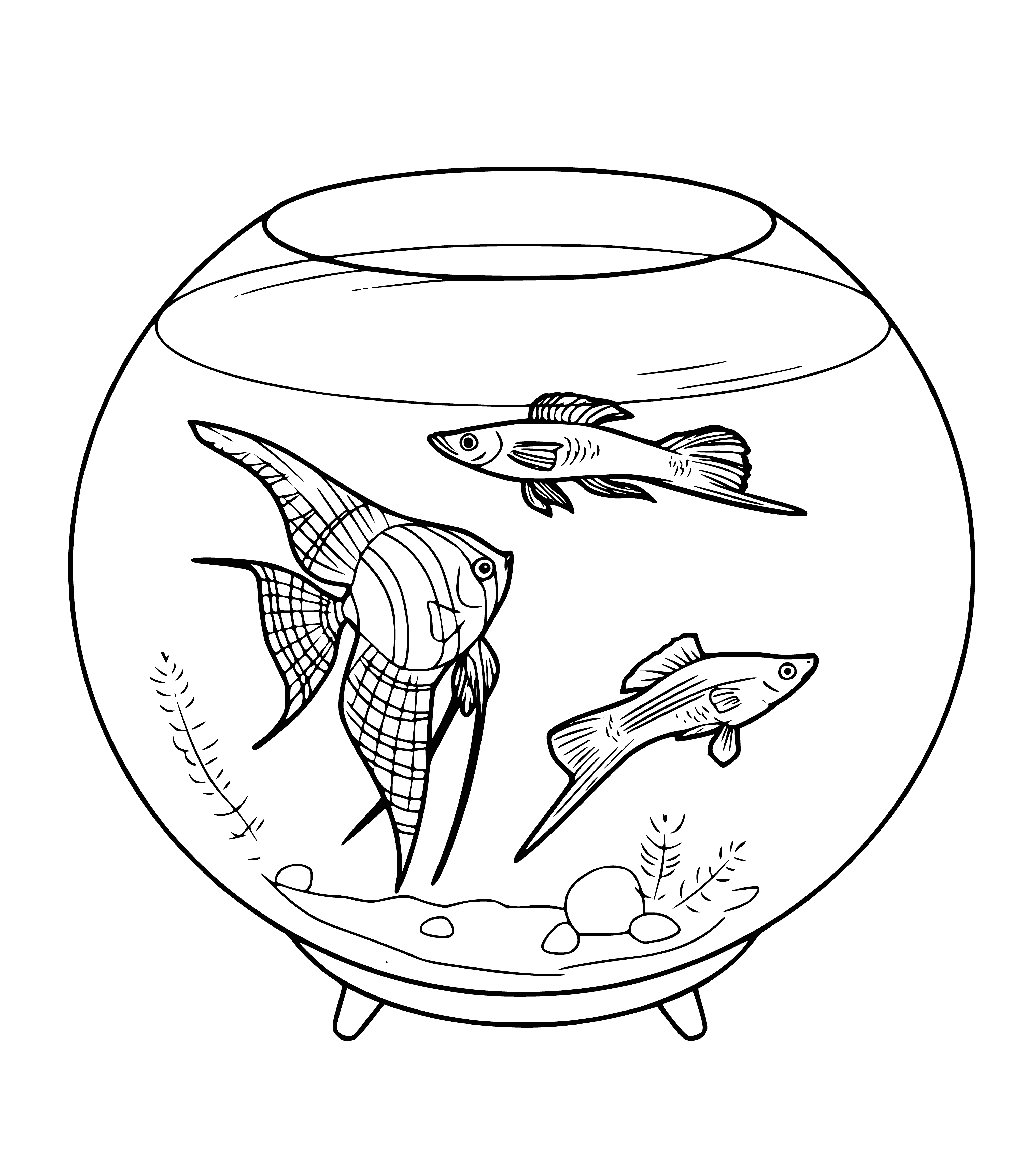 coloring page: Man admires the colorful fish & plants in an aquarium.