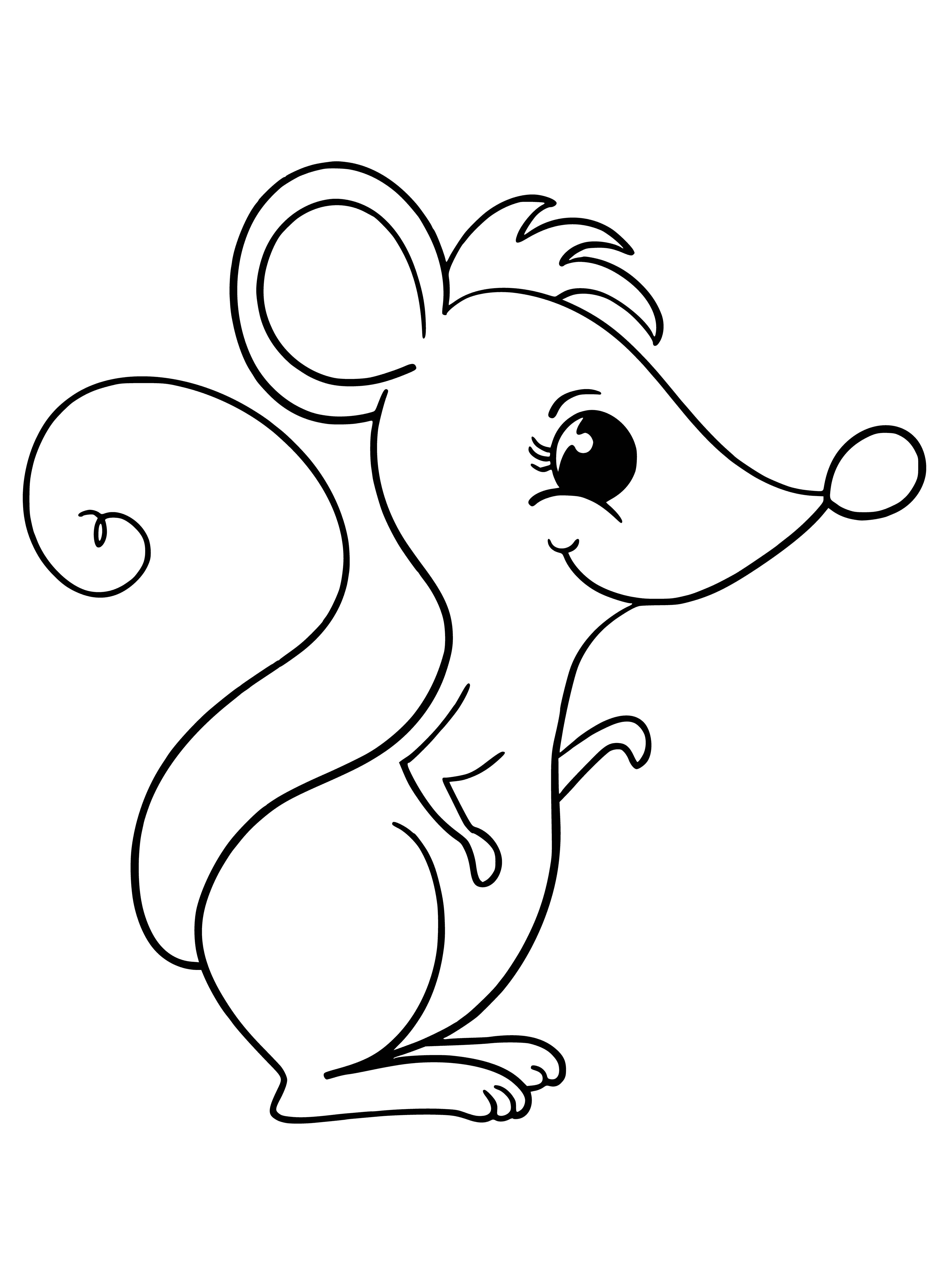 coloring page: Rat is a cute, funny-looking mouse w/ big ears, long tail, & brown/white fur.