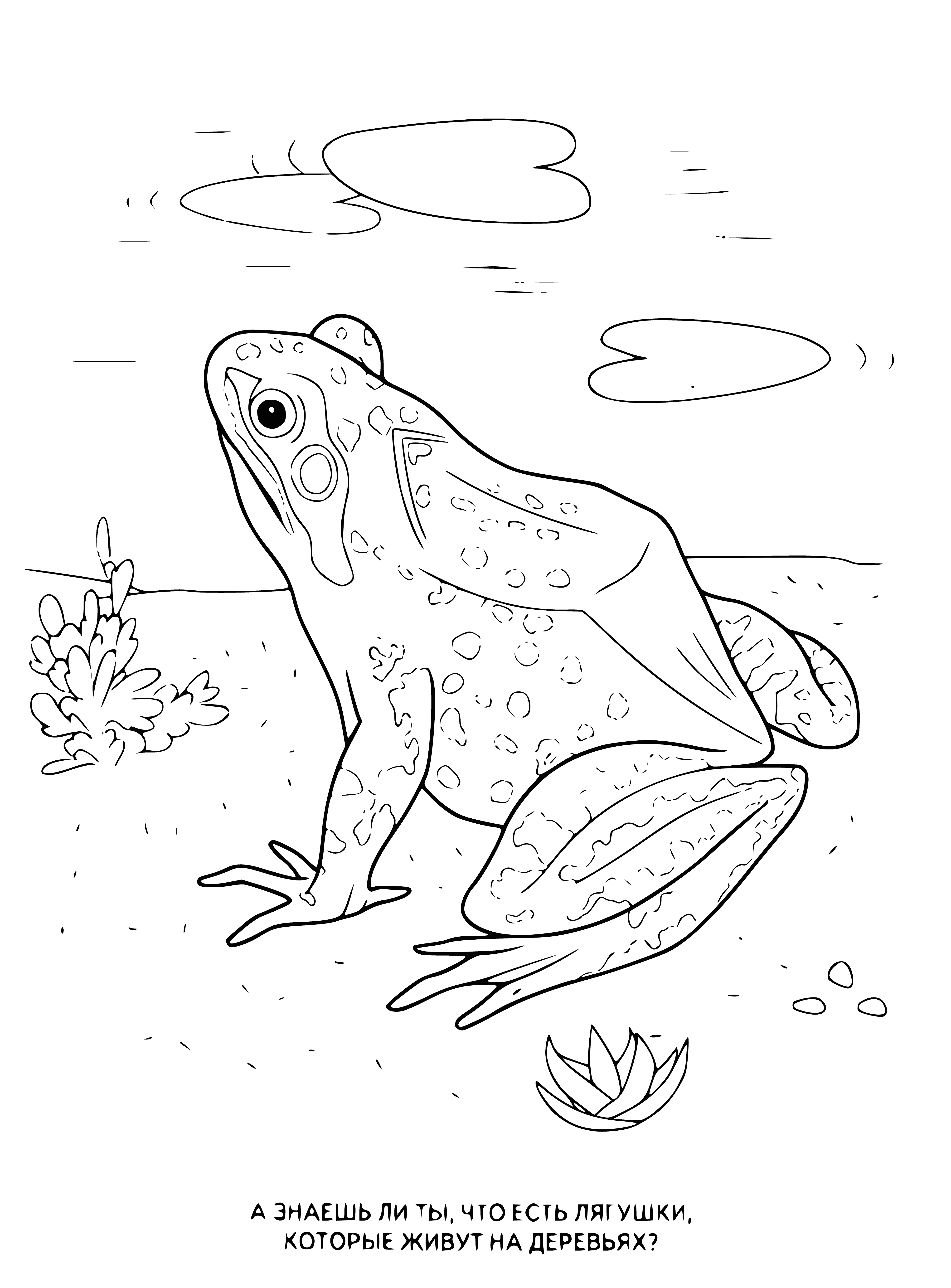 coloring page: Frogs are amphibians with moist skin, found in fresh, brackish, and saltwater habitats, even in trees.