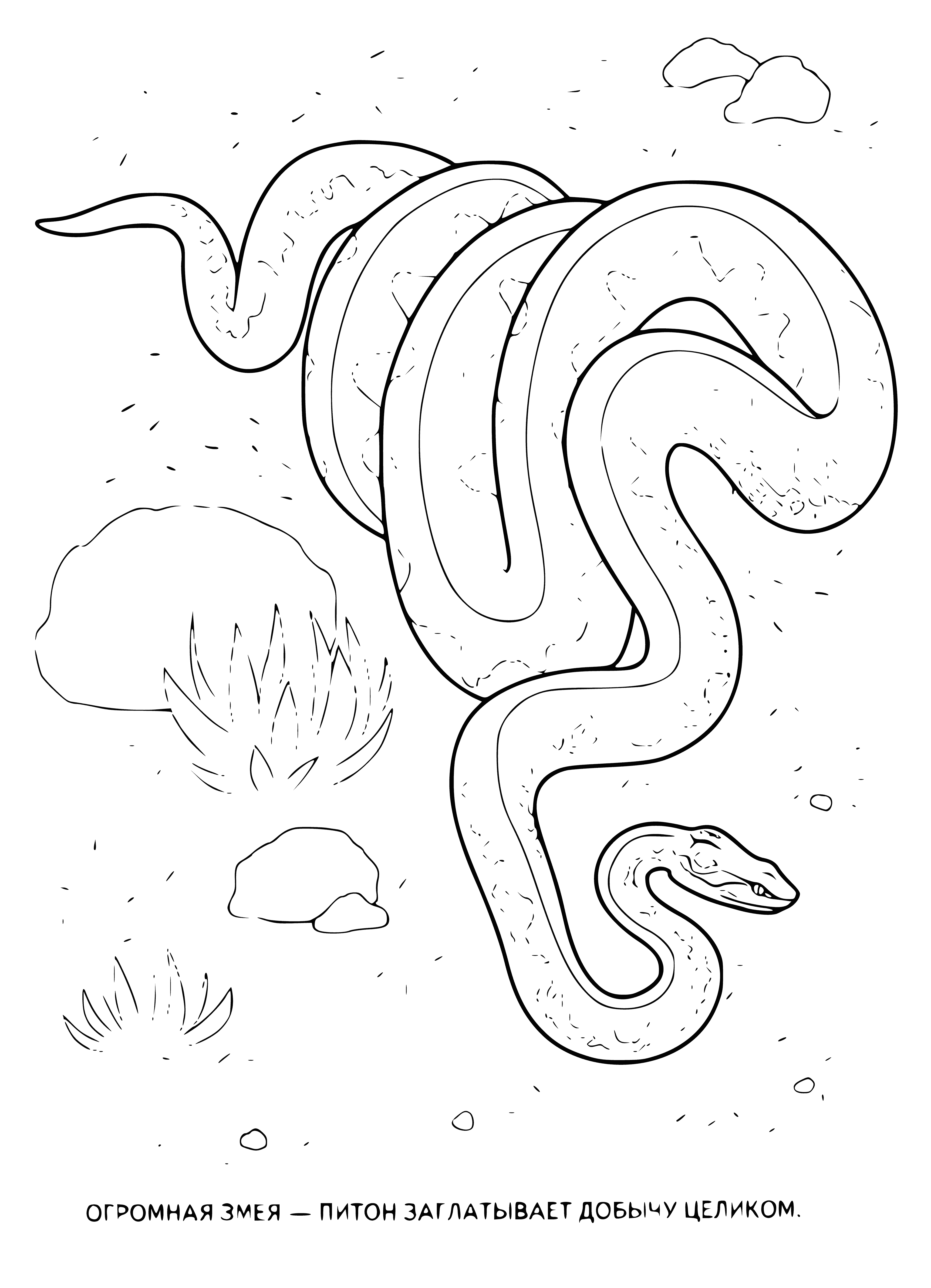 coloring page: Snake and bird perched on a branch in a colorful setting.