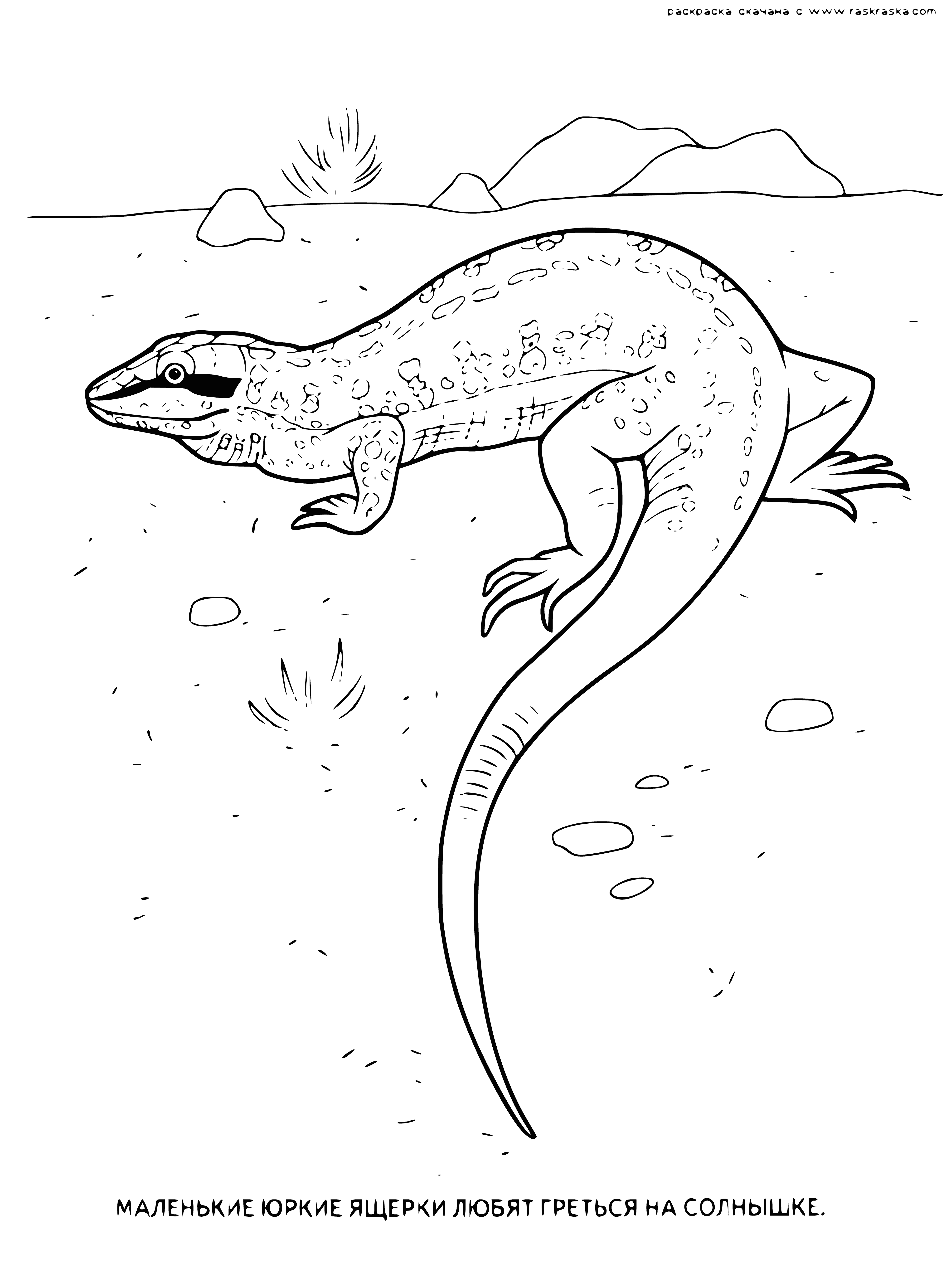 coloring page: Brown lizard with black spots stares at the camera, perched on a branch with long tail. #Wildlife