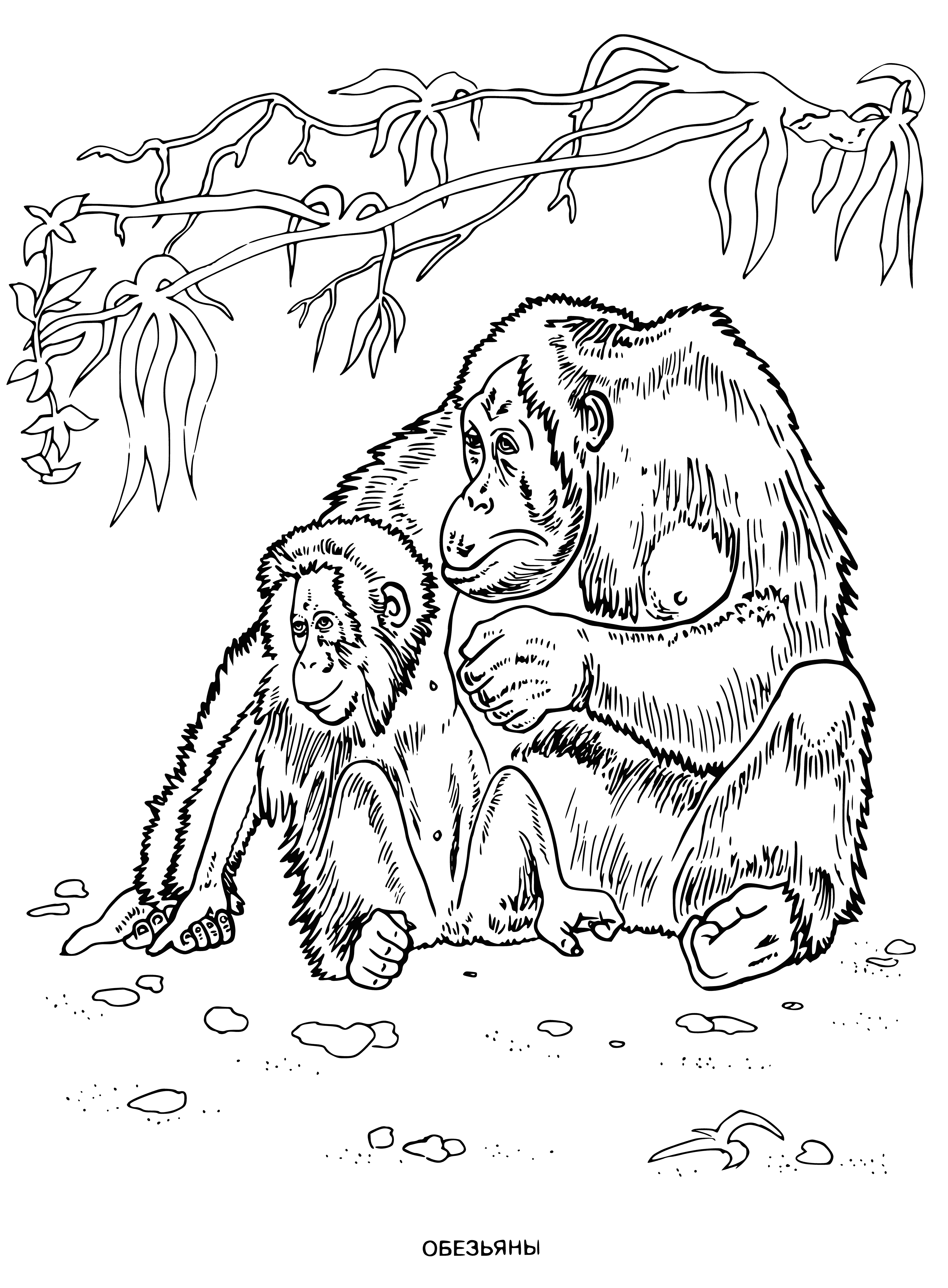 coloring page: Two small, brown monkeys sitting on a tree branch with big ears and long tails. #coloringpage