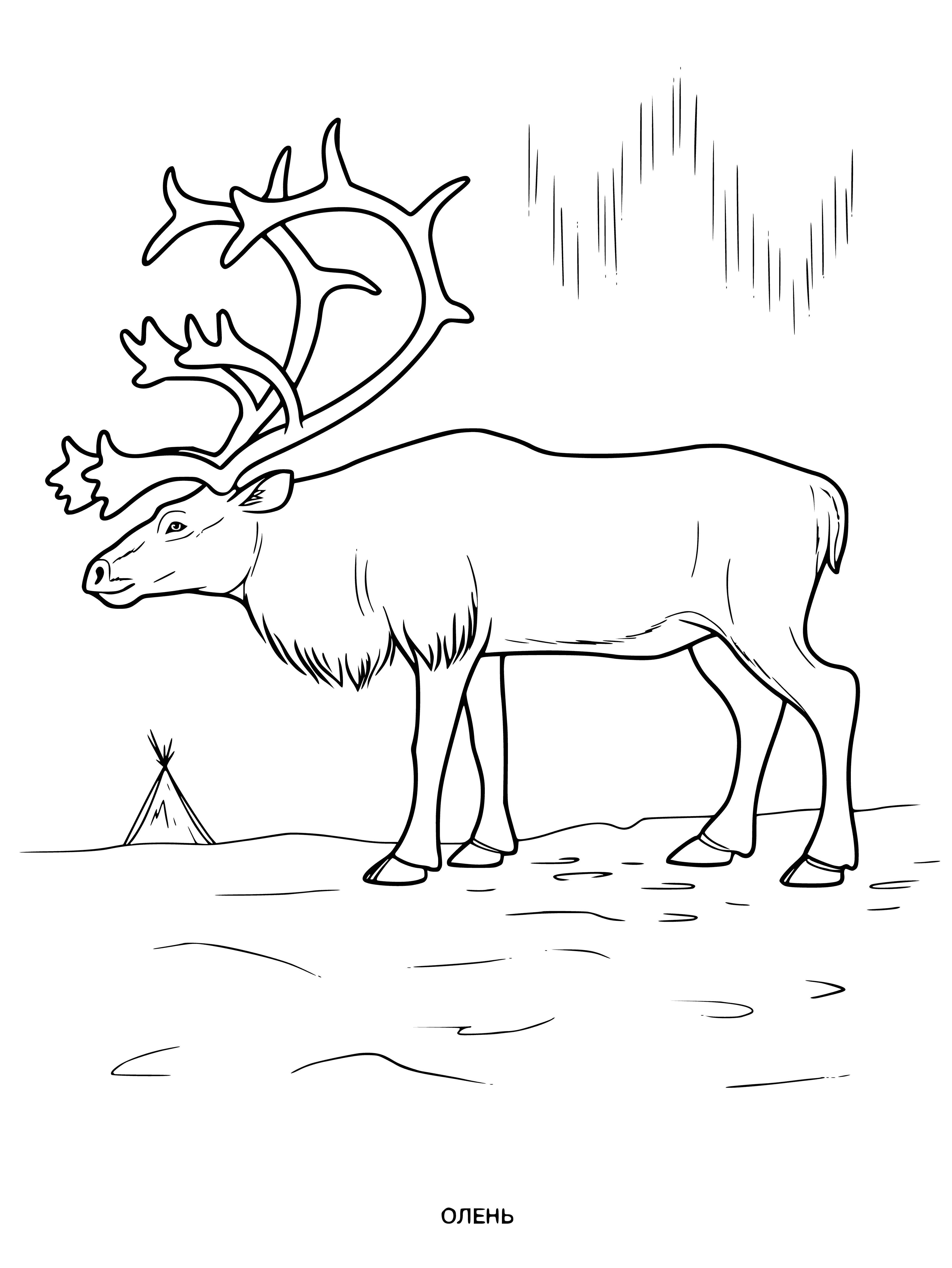 coloring page: 140 characters: Brown deer w/ white tail stands in grass in nature coloring page.
