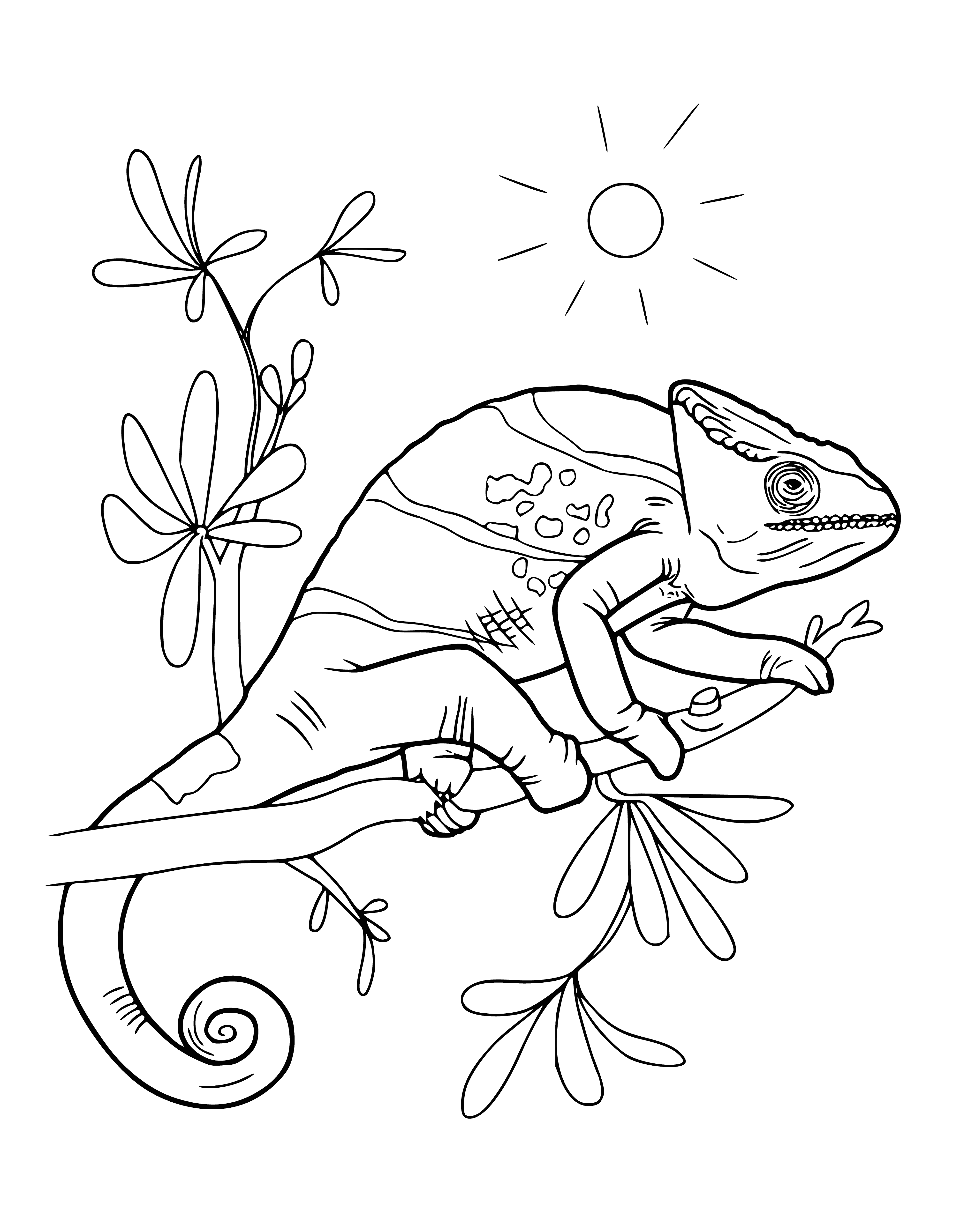 coloring page: Chameleons use incredible camouflage by changing their skin color to blend into their surroundings.