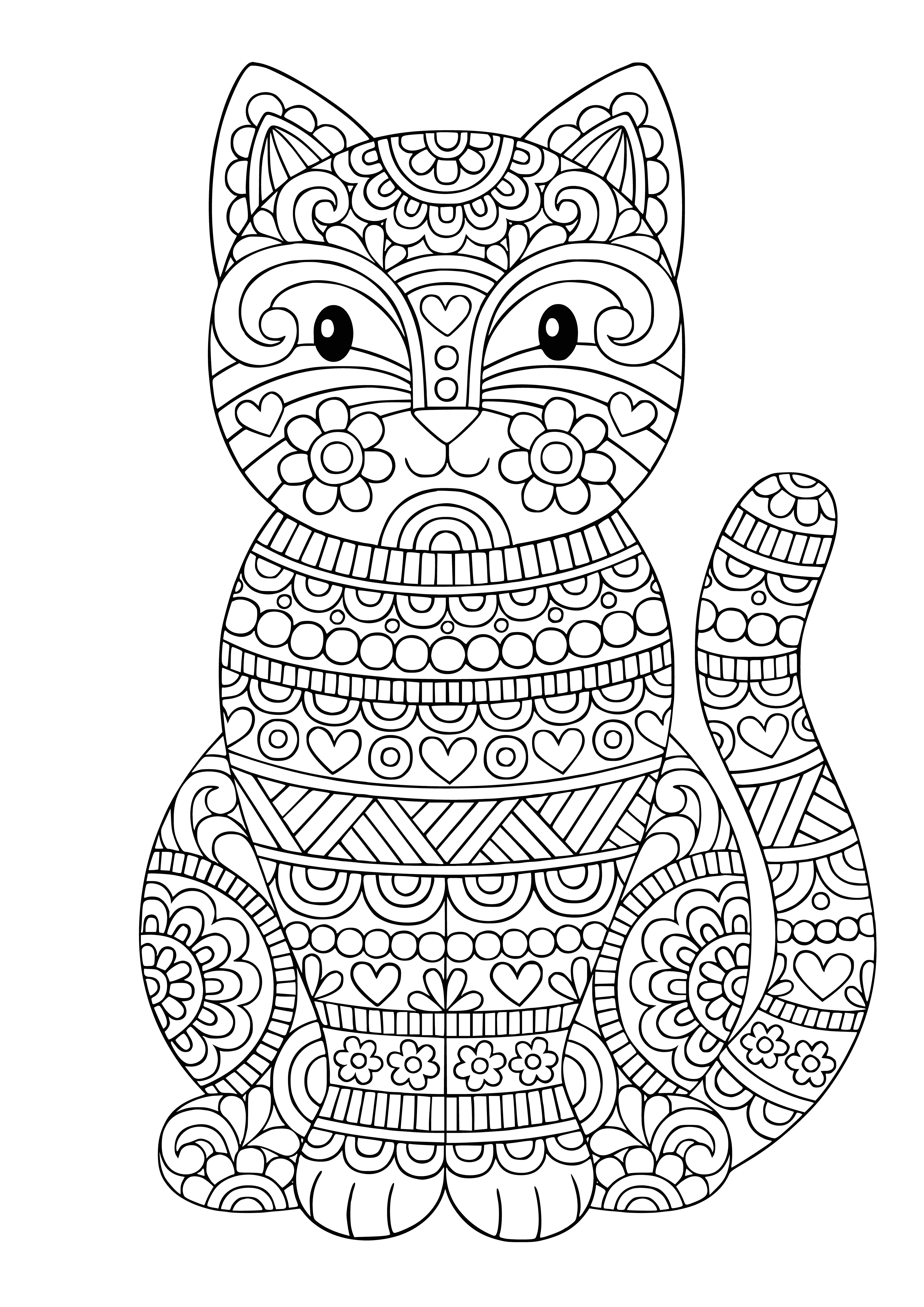 coloring page: Cat with big green eyes, black & white fur, paw raised, sitting down.