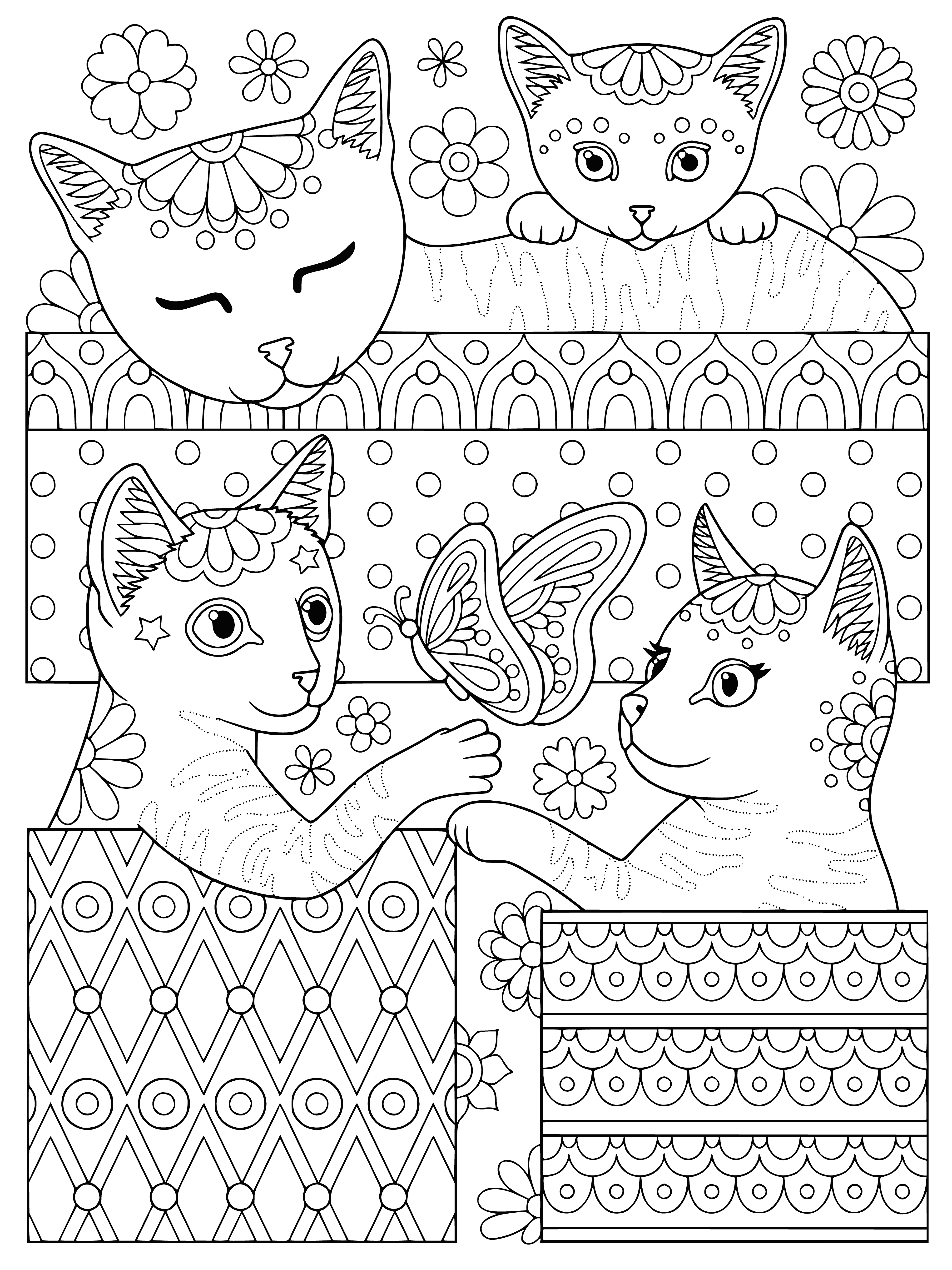 coloring page: Two cats, one in and one out of a box--gray/white and black/white.