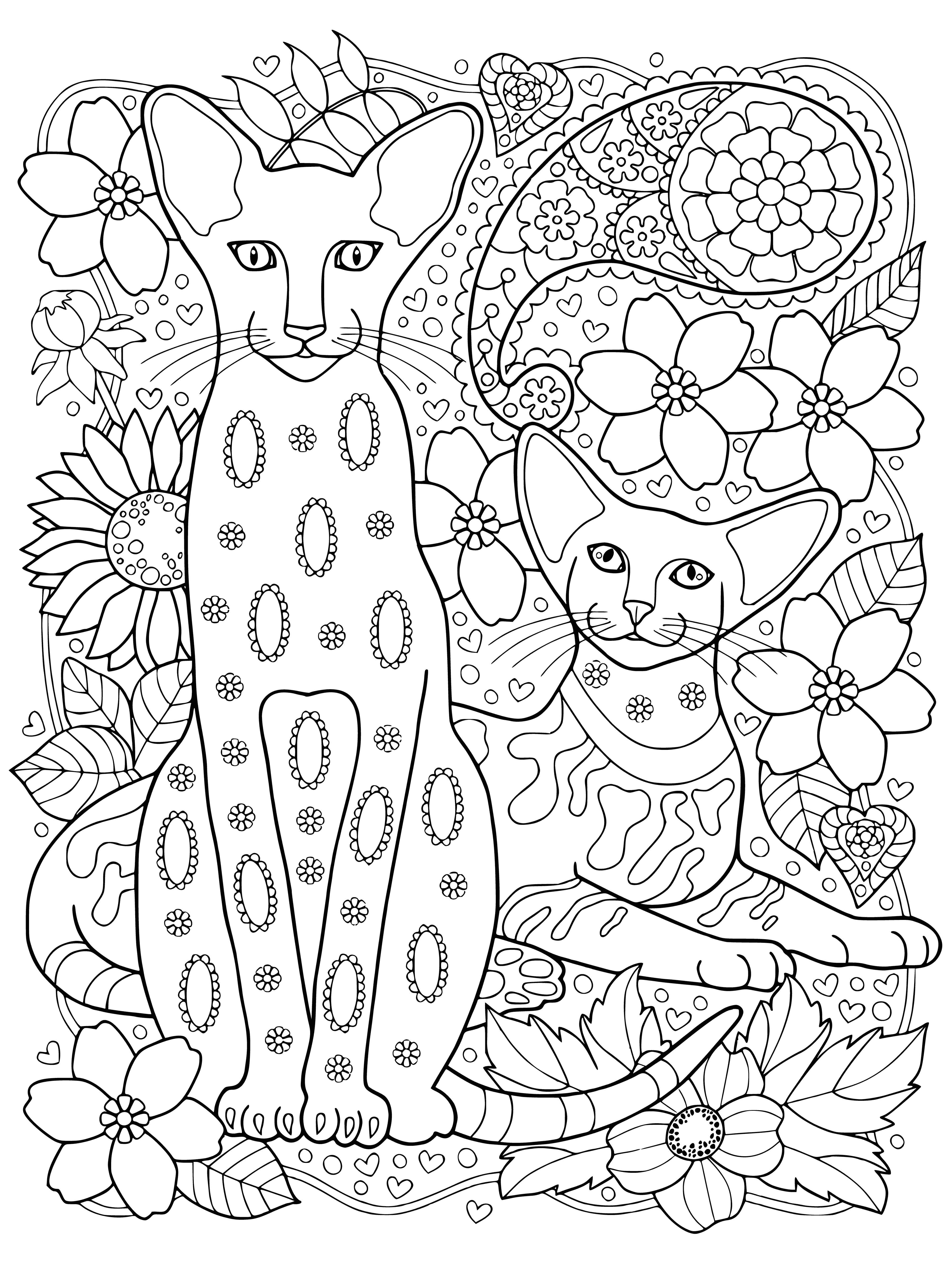 coloring page: Two relaxed sphynx cats, one pink one blue, recline amidst flowers & leaves on a coloring page.