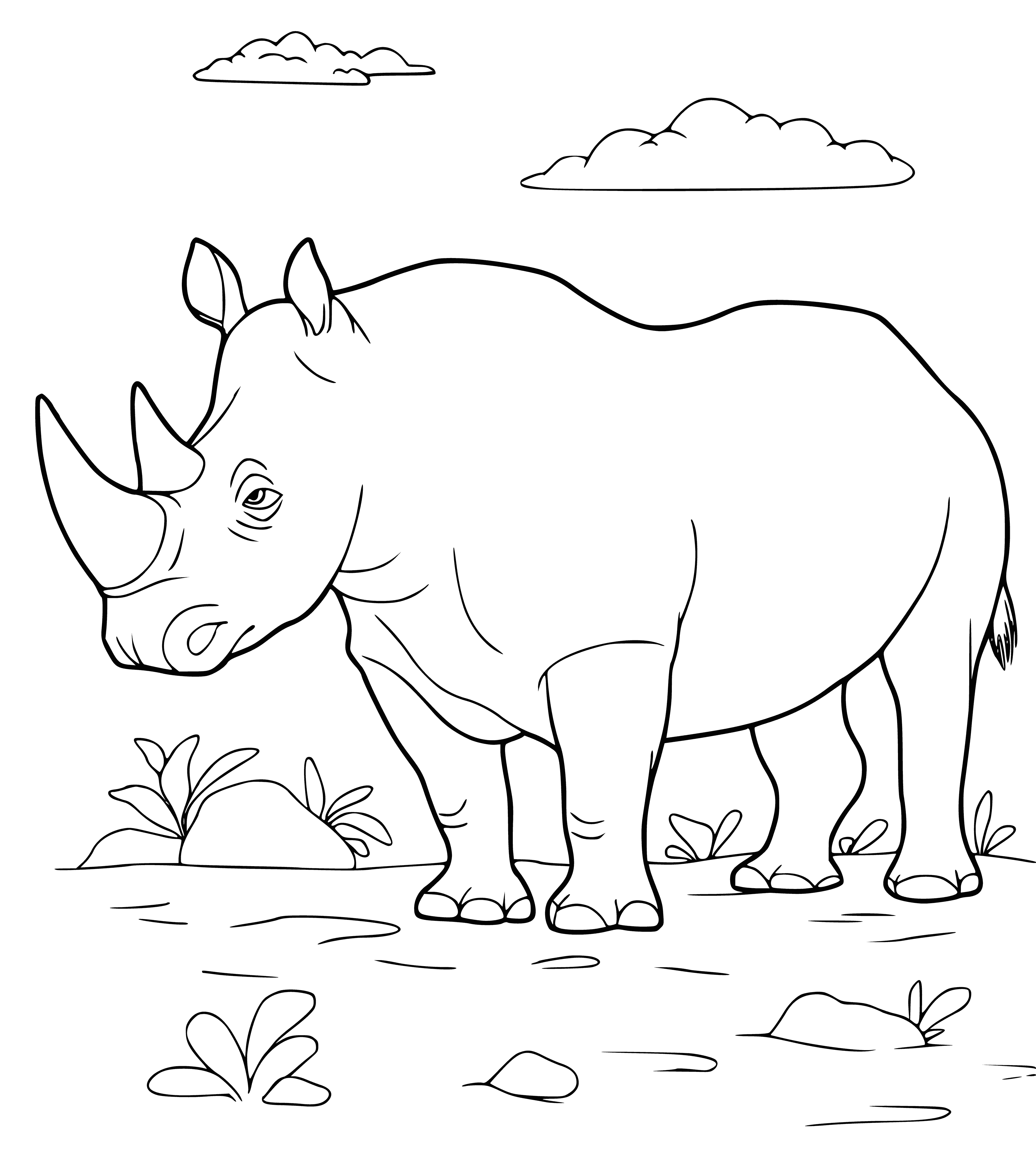 coloring page: A rhino is eating grass. It is big, gray, and has a long horn and short tail. #Safari #Rhino #Coloring