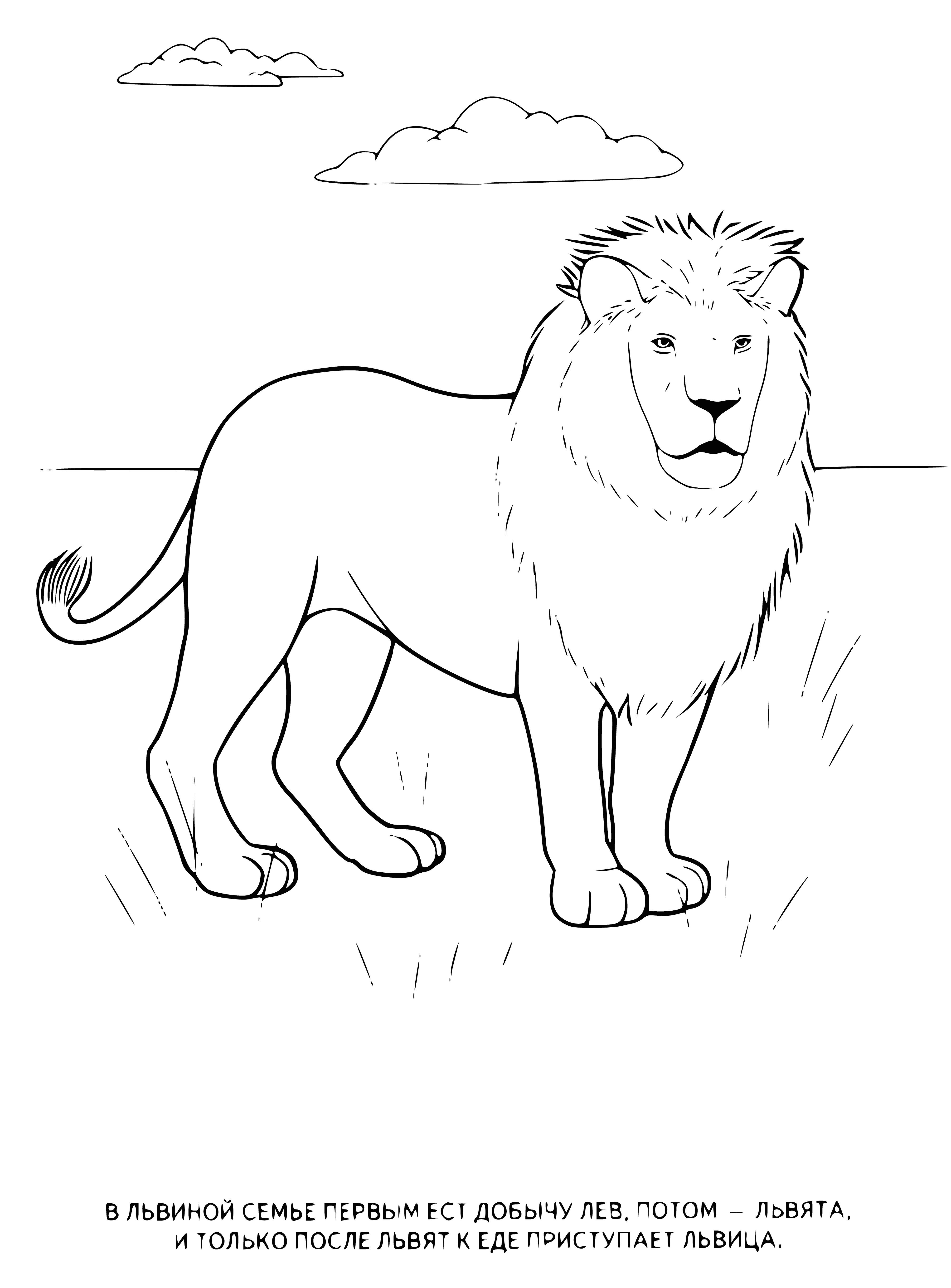 coloring page: 5 animals - 2 lions, 1 elephant, 1 zebra, 1 gorilla - are on this coloring page.