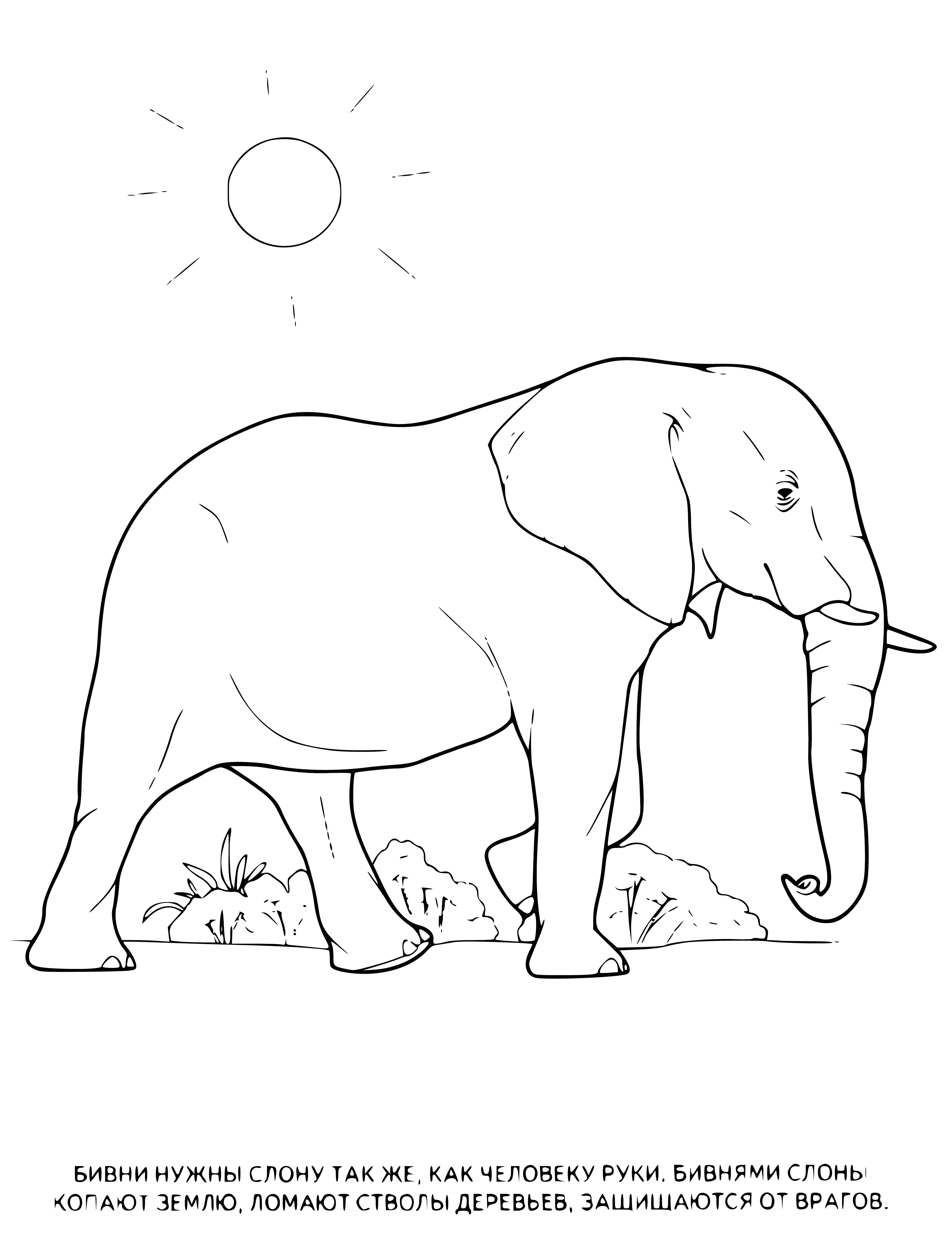 coloring page: A huge gray elephant stands in a muddy river; its trunk extended, ears flapping, and skin muddied.