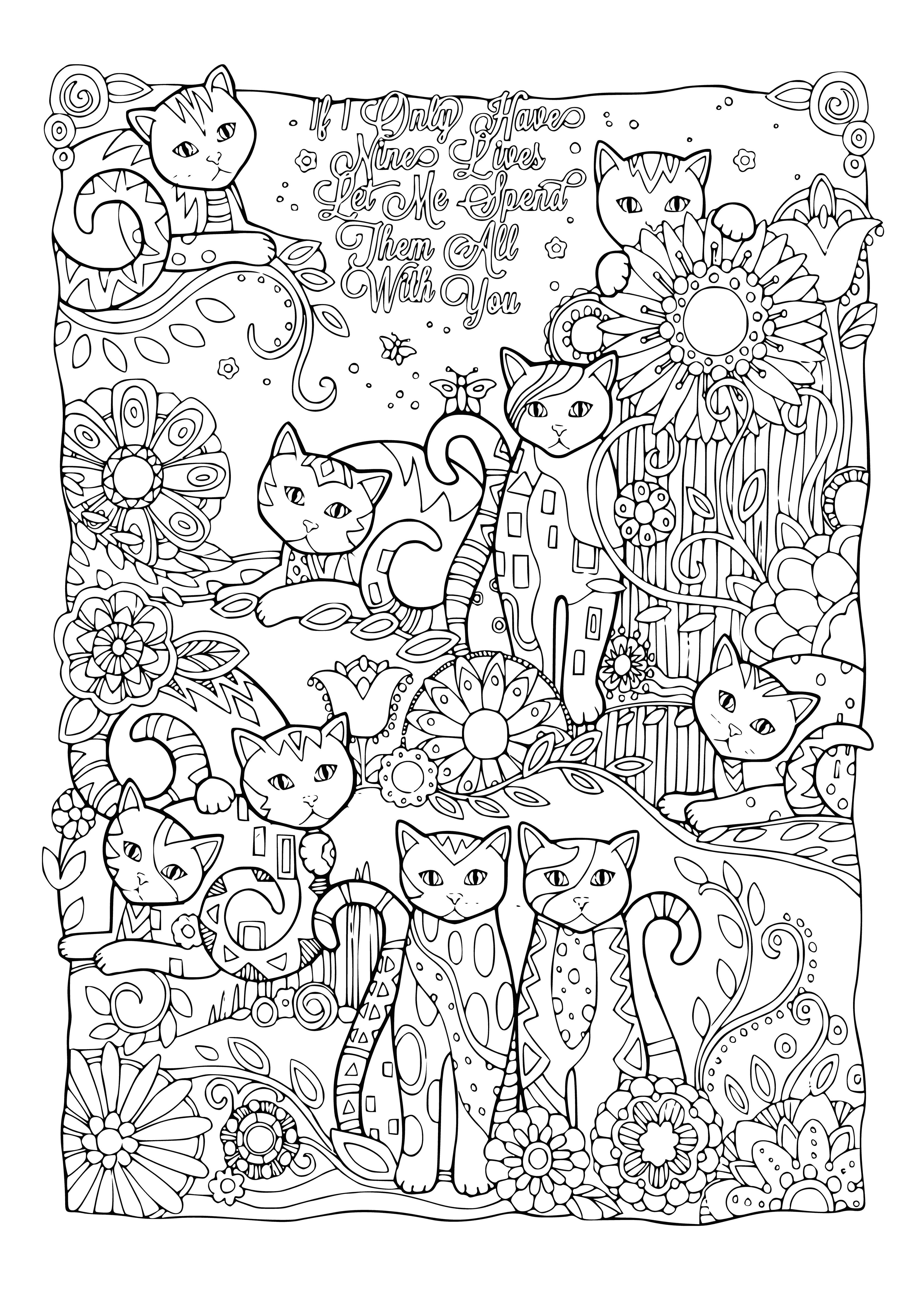 coloring page: 9 cats coloring page: sleeping/awake, in different colors. Have fun coloring! #coloringpages