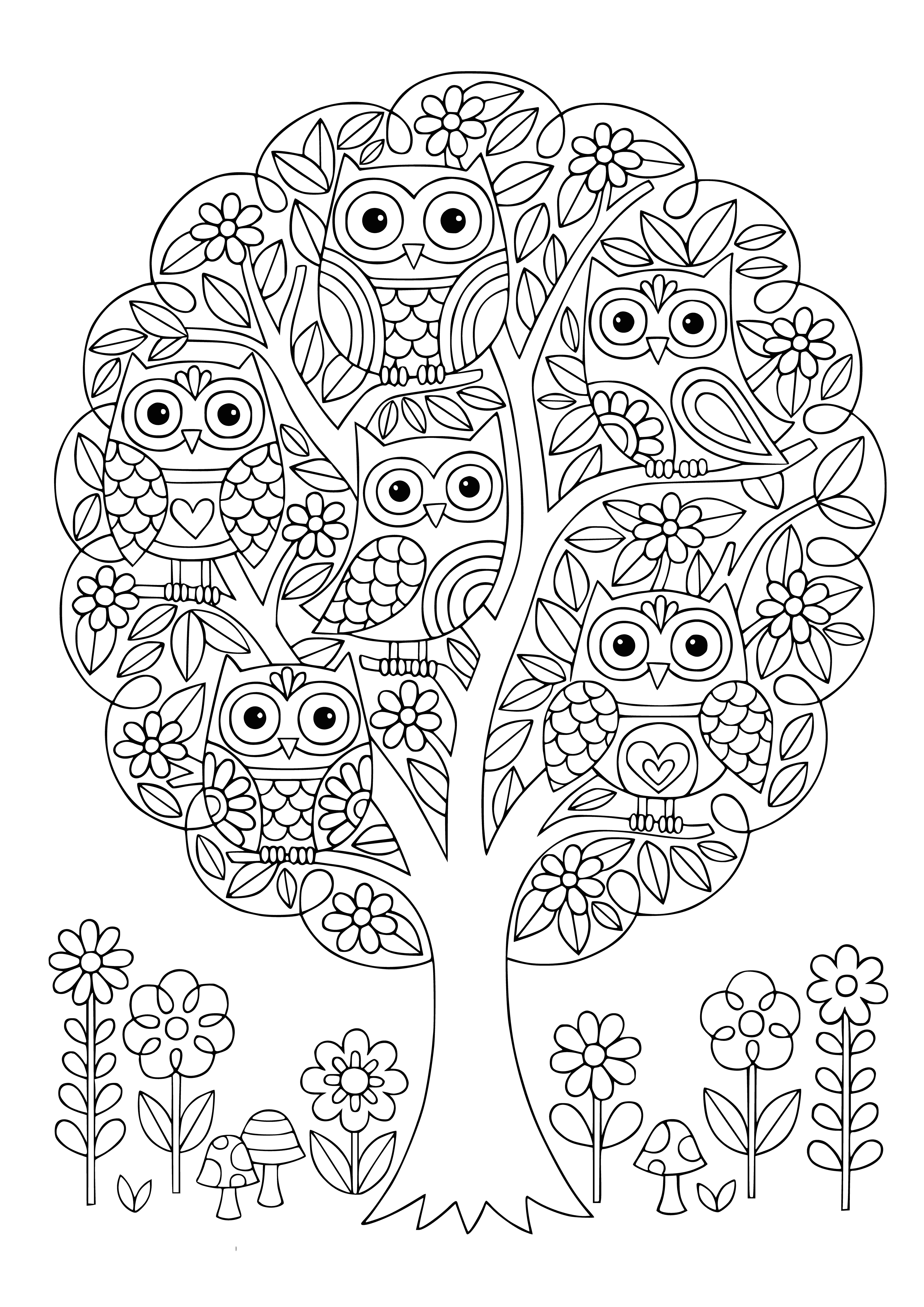 coloring page: Two owls perched on a tree, big eyes & long beaks, stripes on their wings, looking at each other.