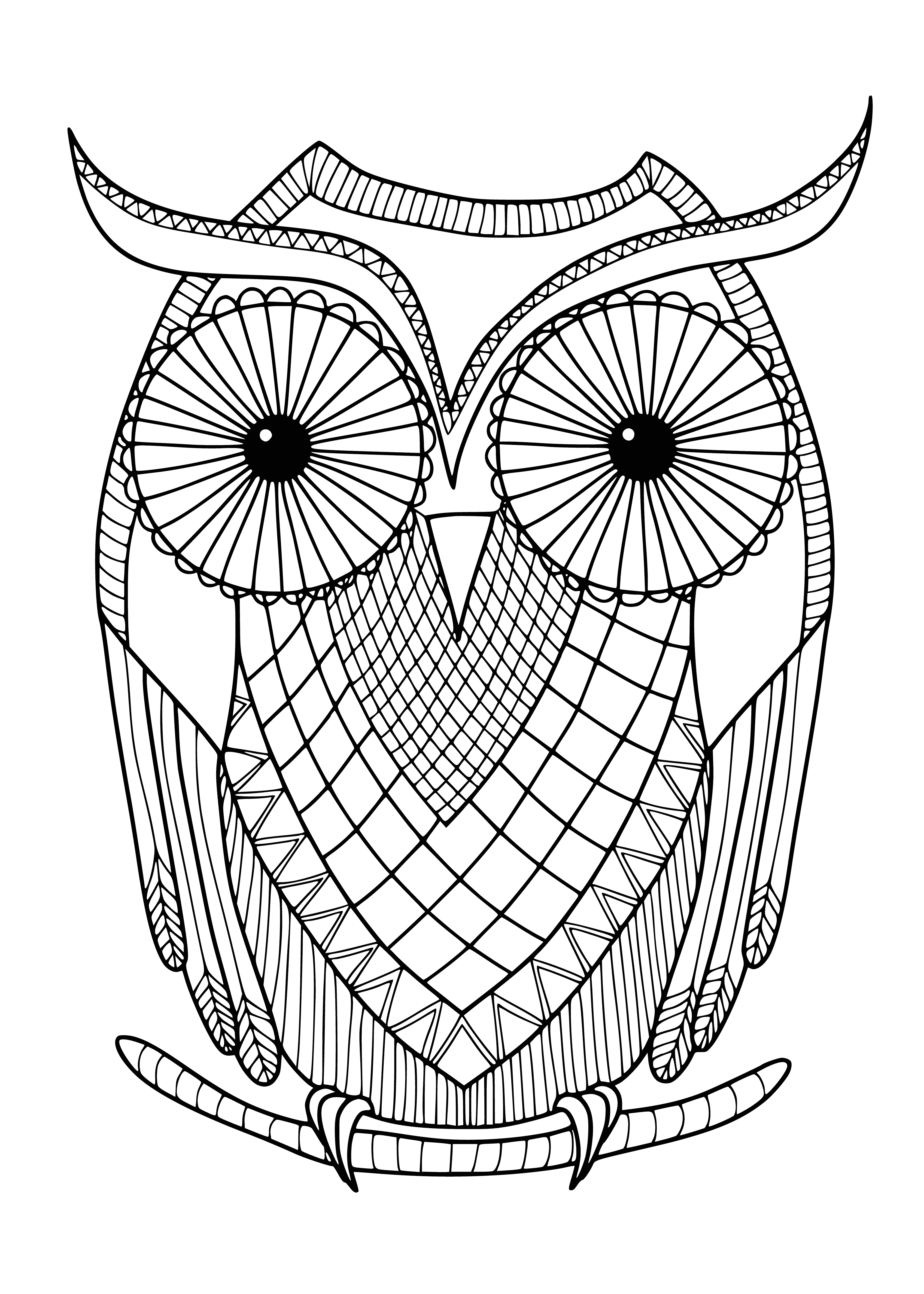 coloring page: Two owls, one brown & one white, sit on a tree branch. Brown owl has eyes closed, white has eyes open. #coloringpage