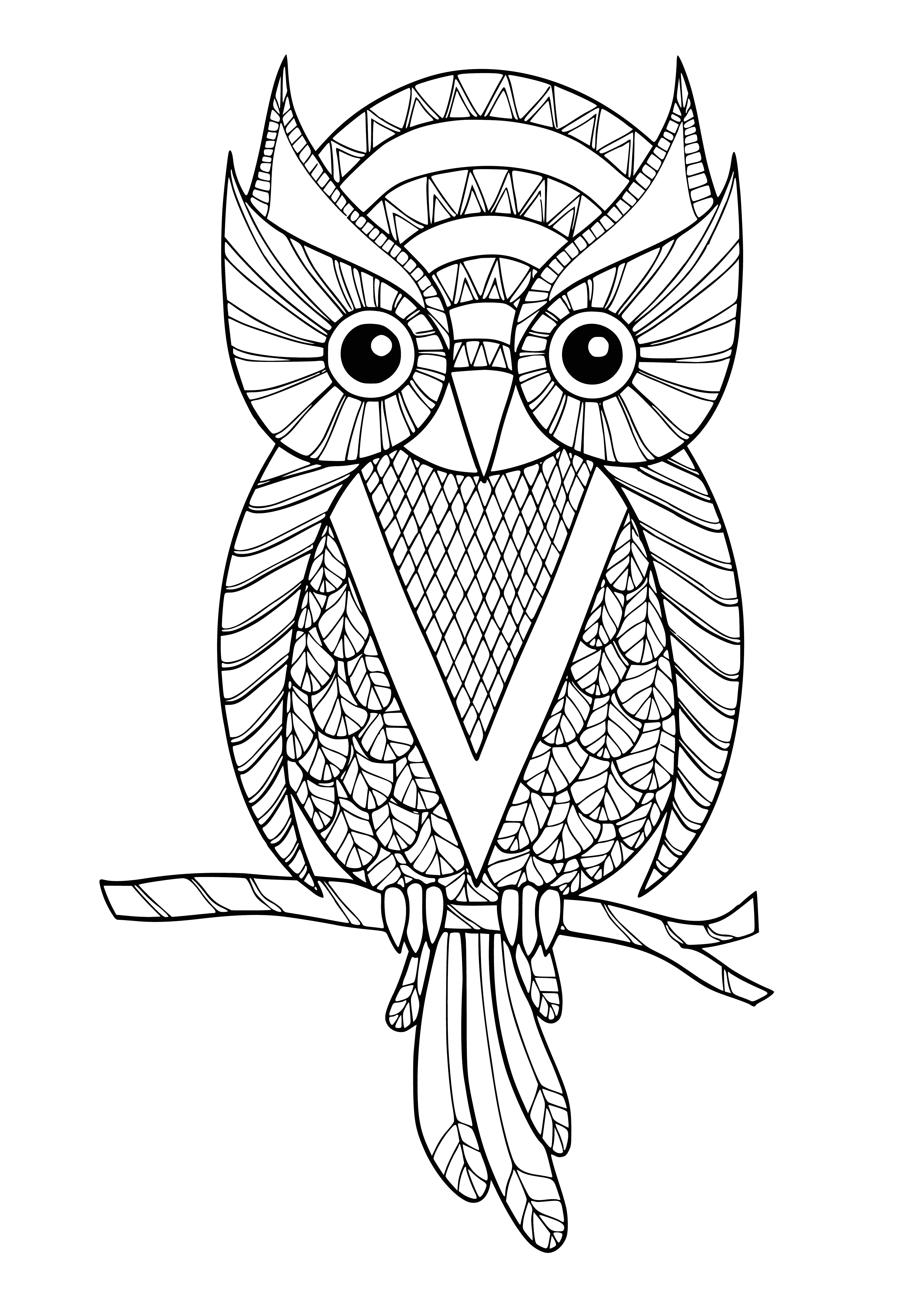coloring page: A cute owl coloring page with big eyes and a small beak, white with brown spots and leaves around it. #ColoringPages #Owl