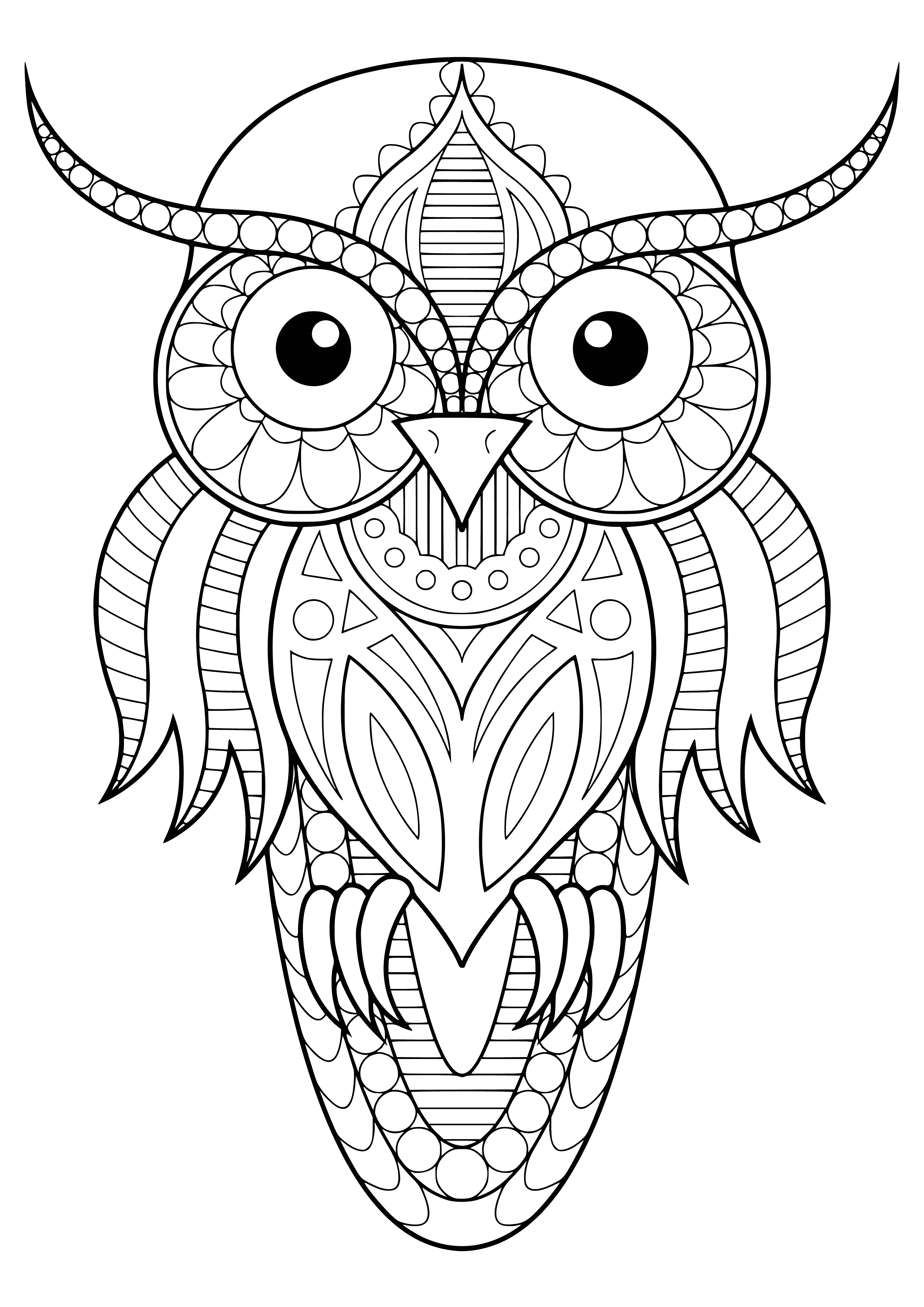coloring page: Two owls perched on a branch, one with wings spread wide, mesmerizing colors swirl around them.