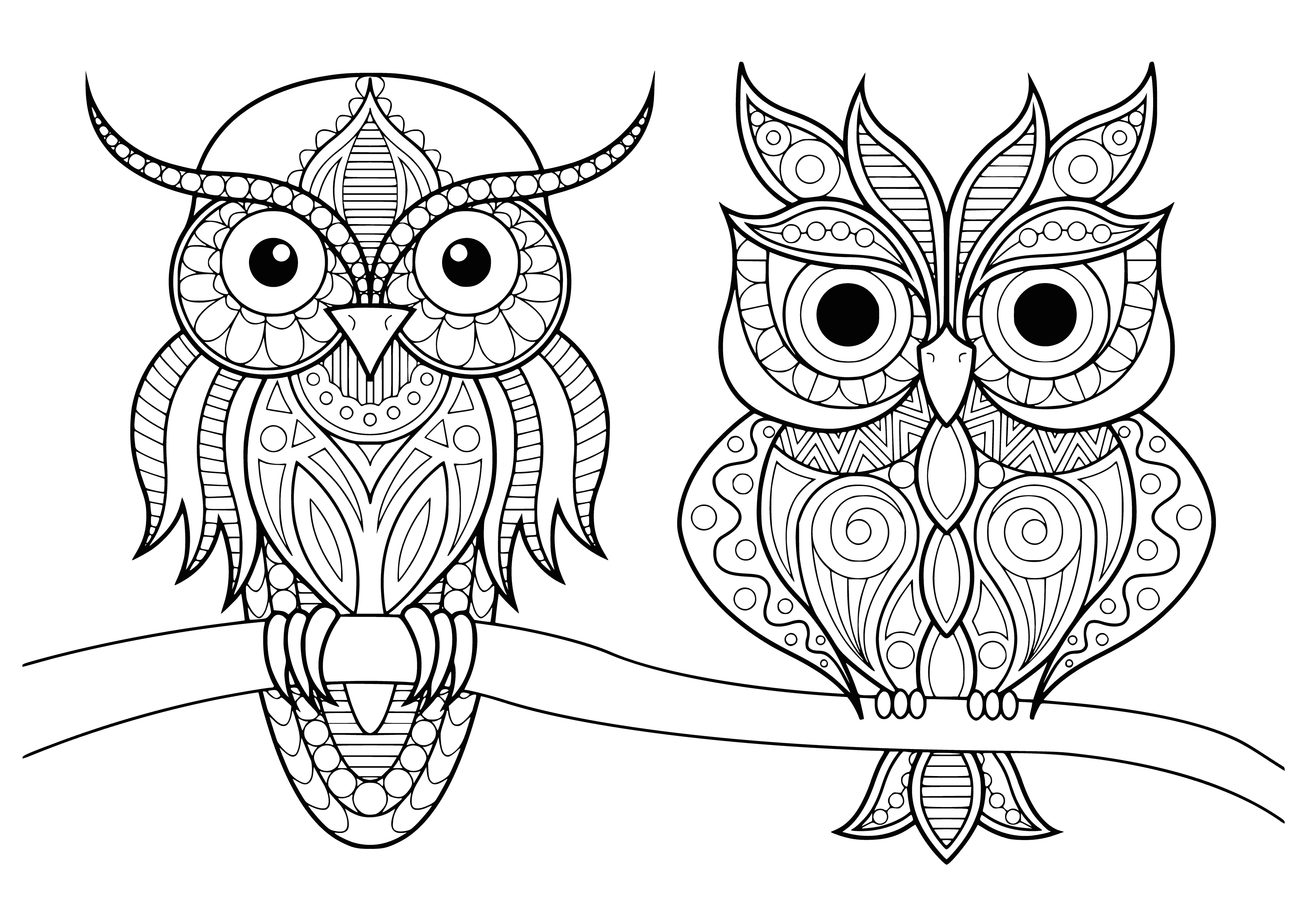 coloring page: Two owls, one resting & one flying, surrounded by leaves & flowers.