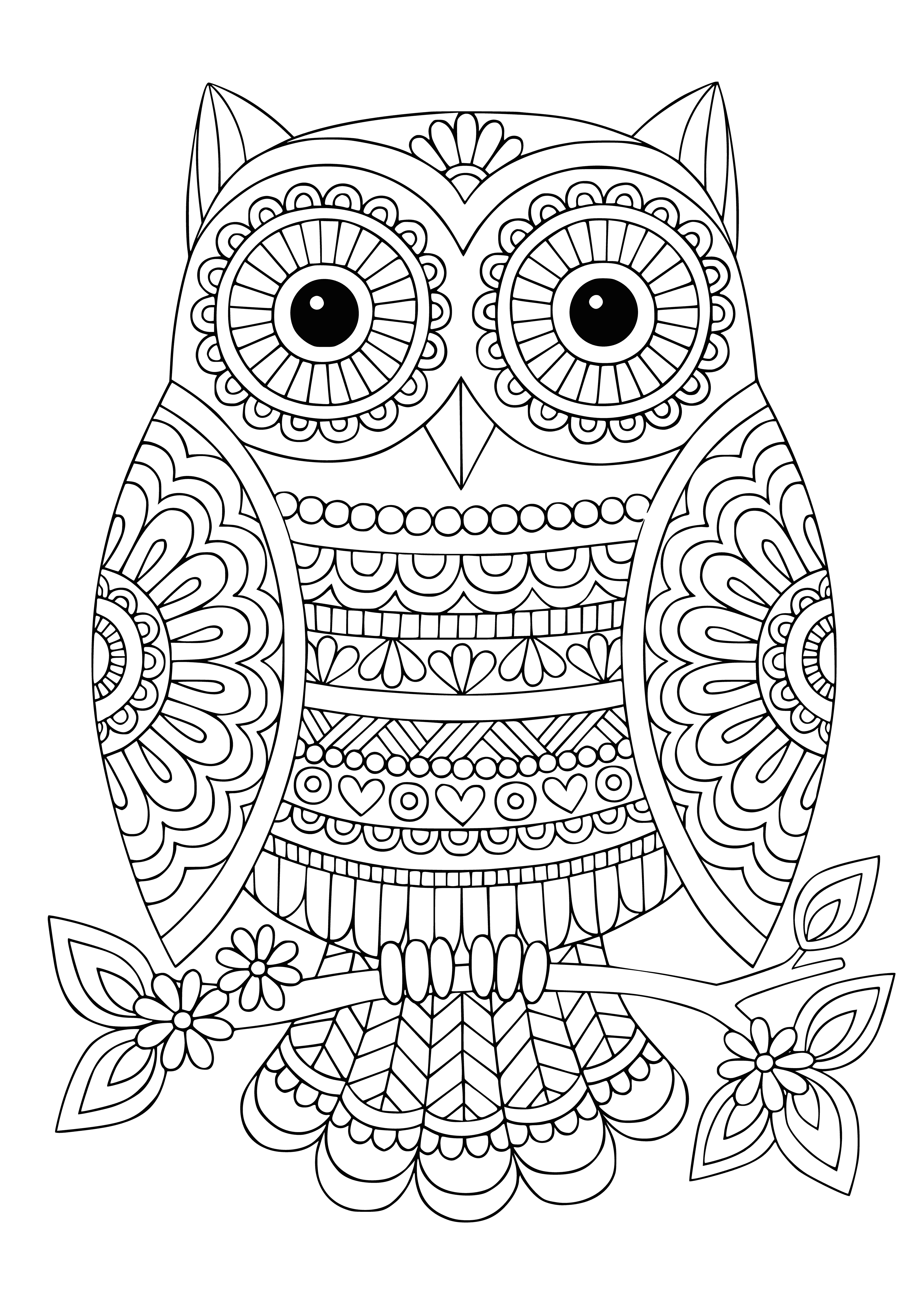coloring page: Owl perched on a branch looking off into the distance with large round eyes and prominent beak, light-colored feathers and spread out wings. #coloringpage
