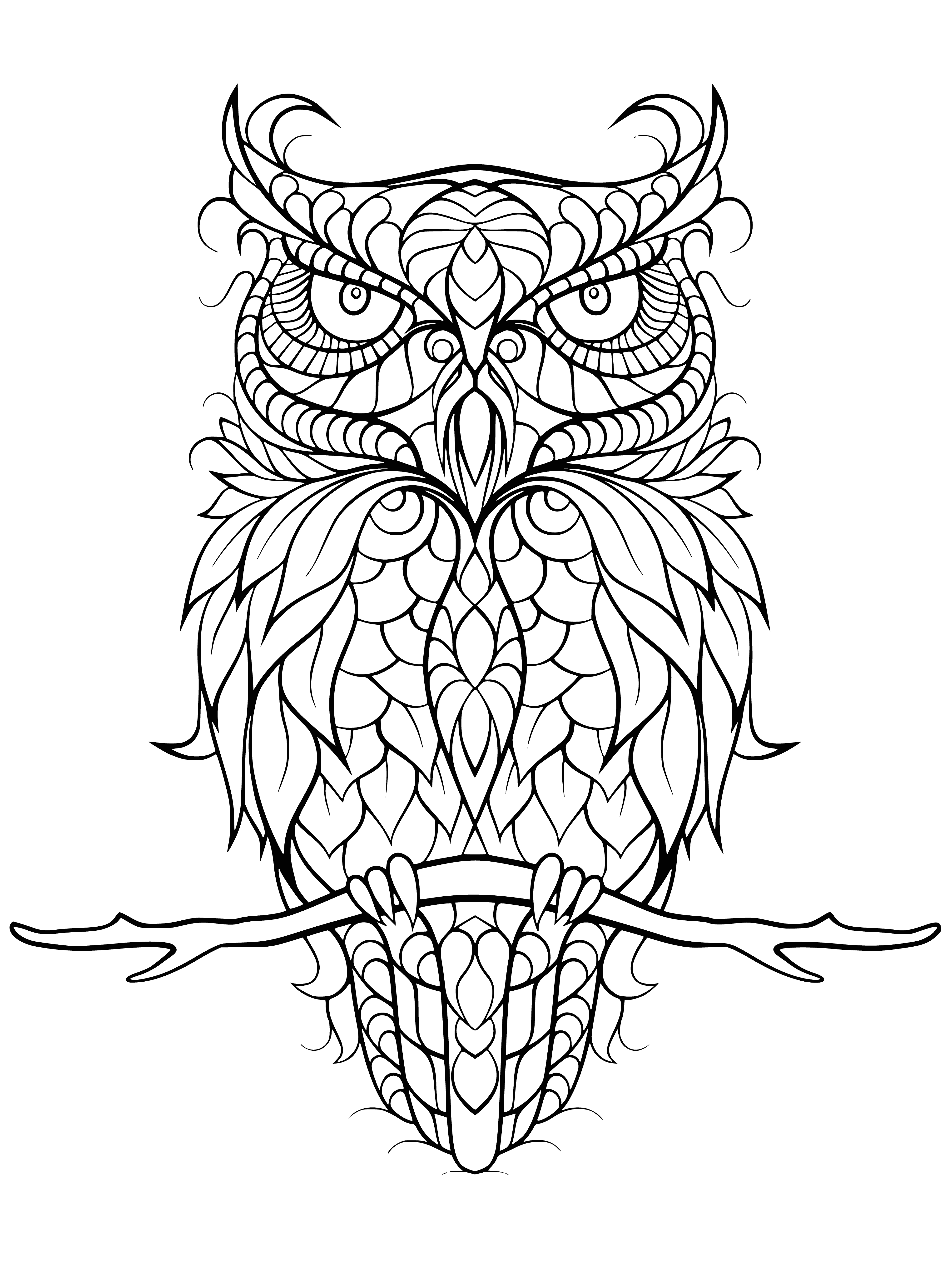 coloring page: A large owl, perched on a tree with ruffled feathers, looks wise and calming with its bright eyes and pointy ears.
