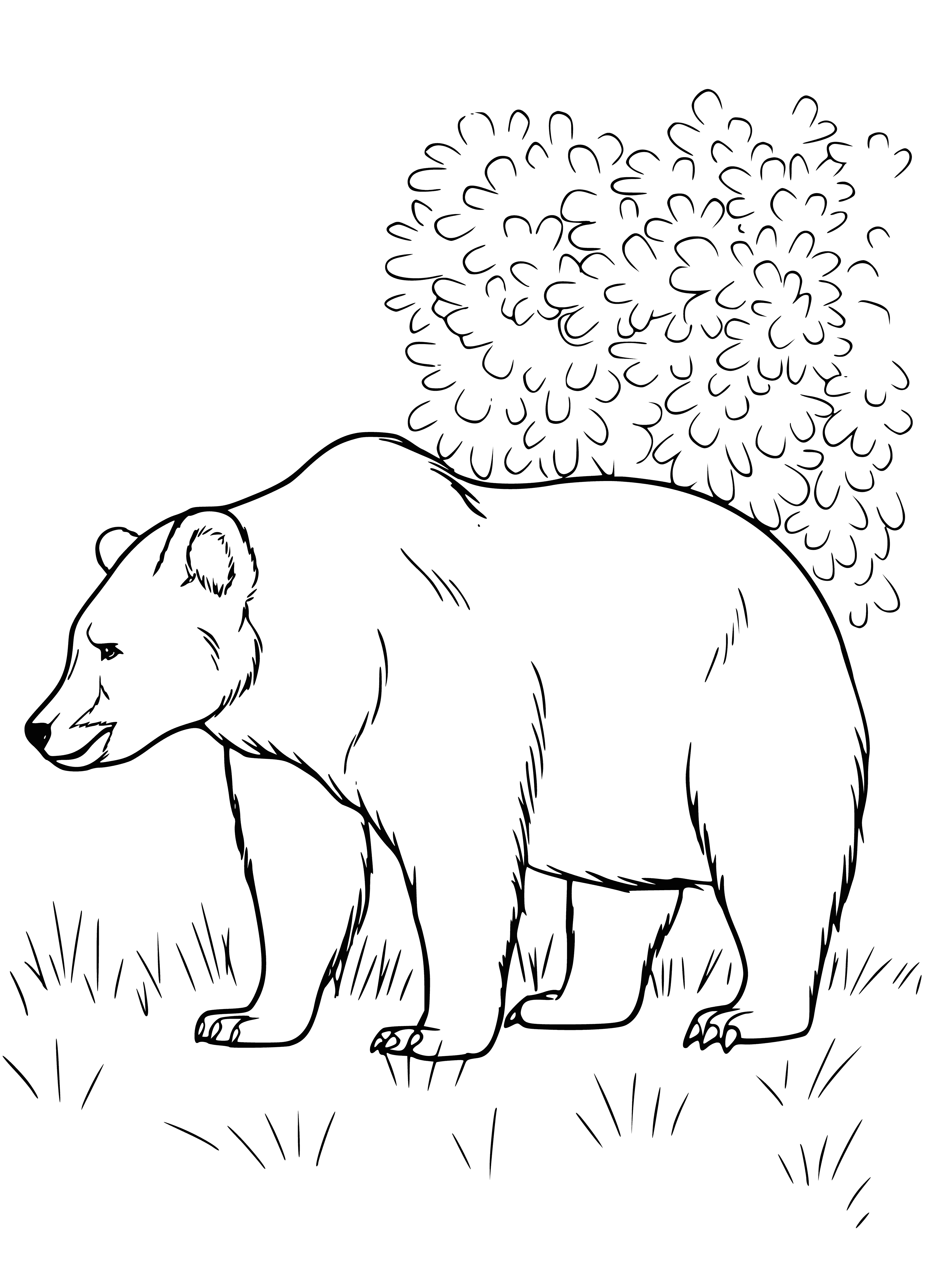 coloring page: Large furry brown creature stands in grassy field, yawning & perked-up. Small black eyes, long neck, big body, furry legs & tail.