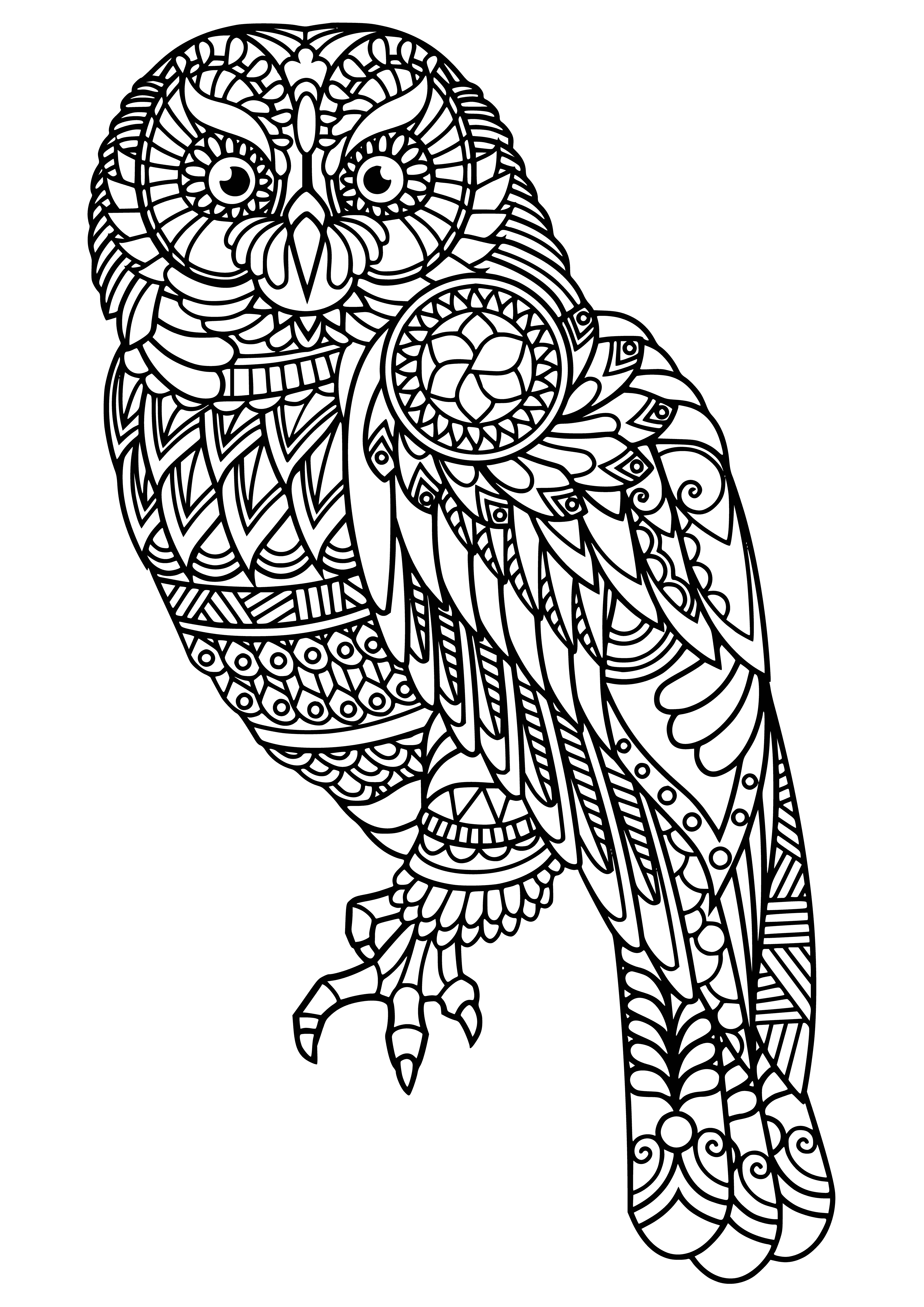 coloring page: A wise owl perched atop a stump, brown feathers with darker stripes, soft blue background. #coloringowls #anti-stressowls
